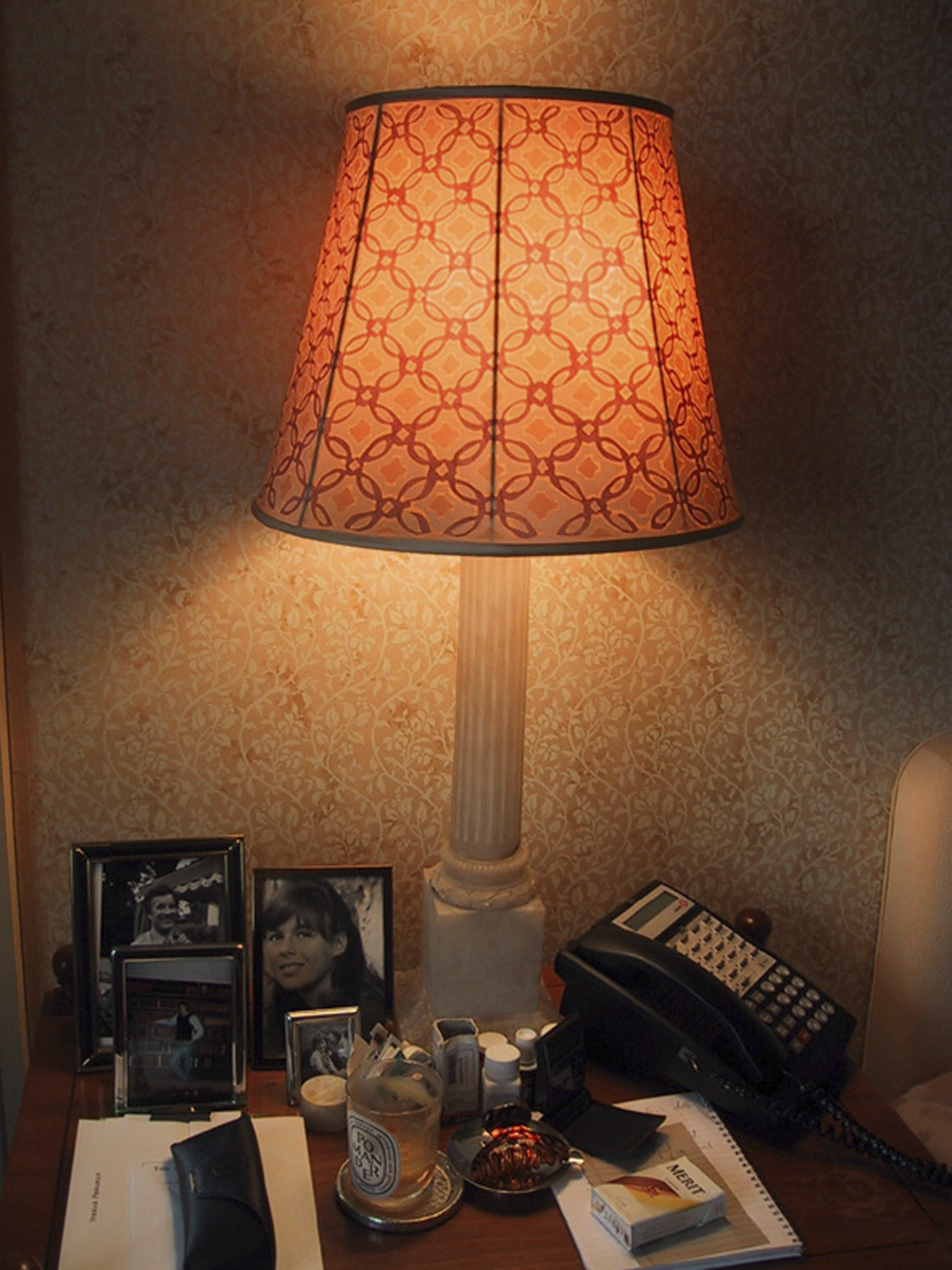 53_Lamp shade custom Hand painted silk .jpg