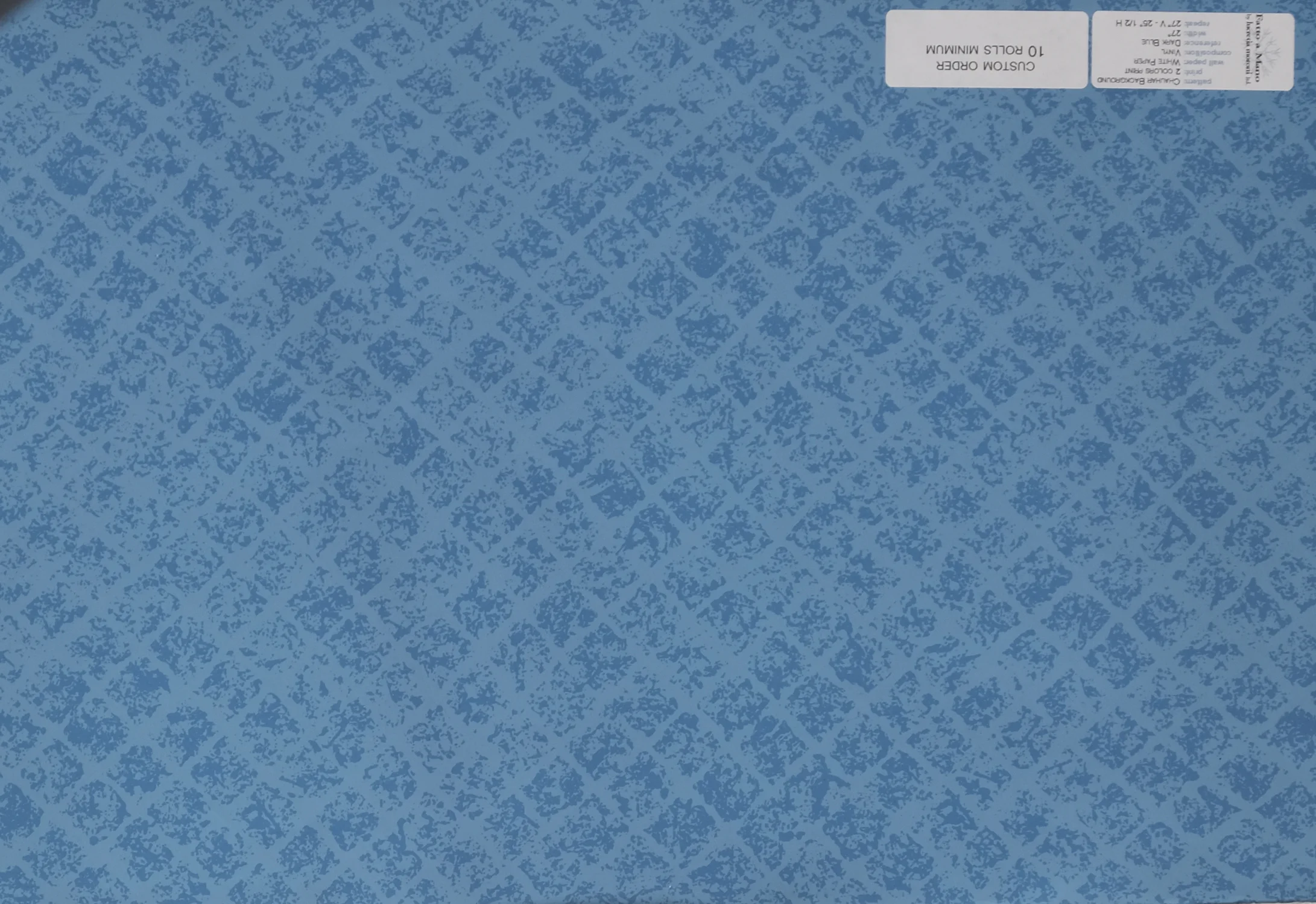 19_Chauhar_background blue.jpg
