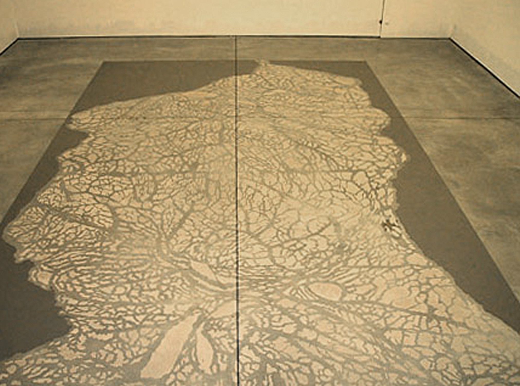 Membrana, Sean Kelly Gallery