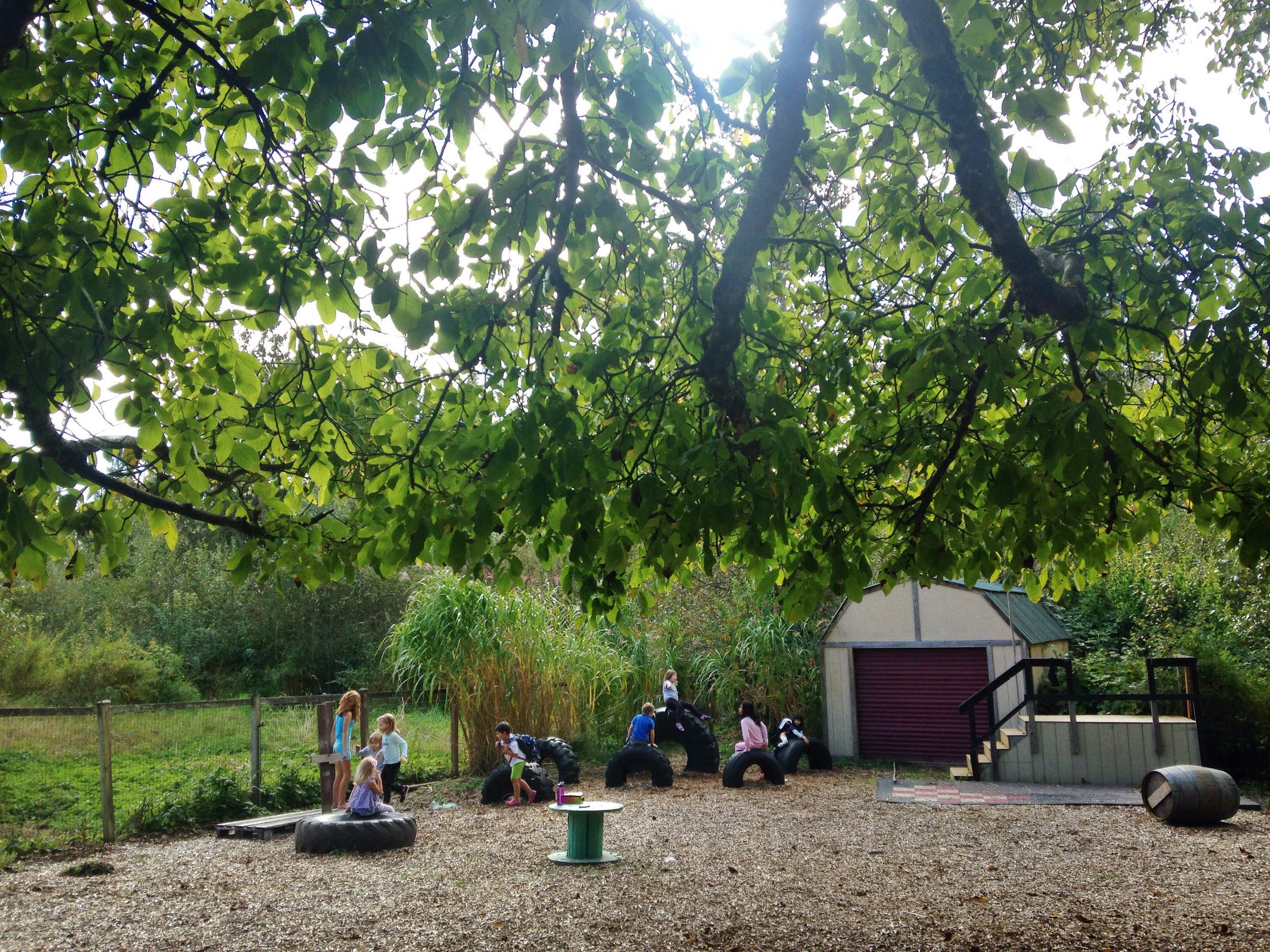 Students play on the playground, running on the woodchips or sitting on tires embedded in the ground.