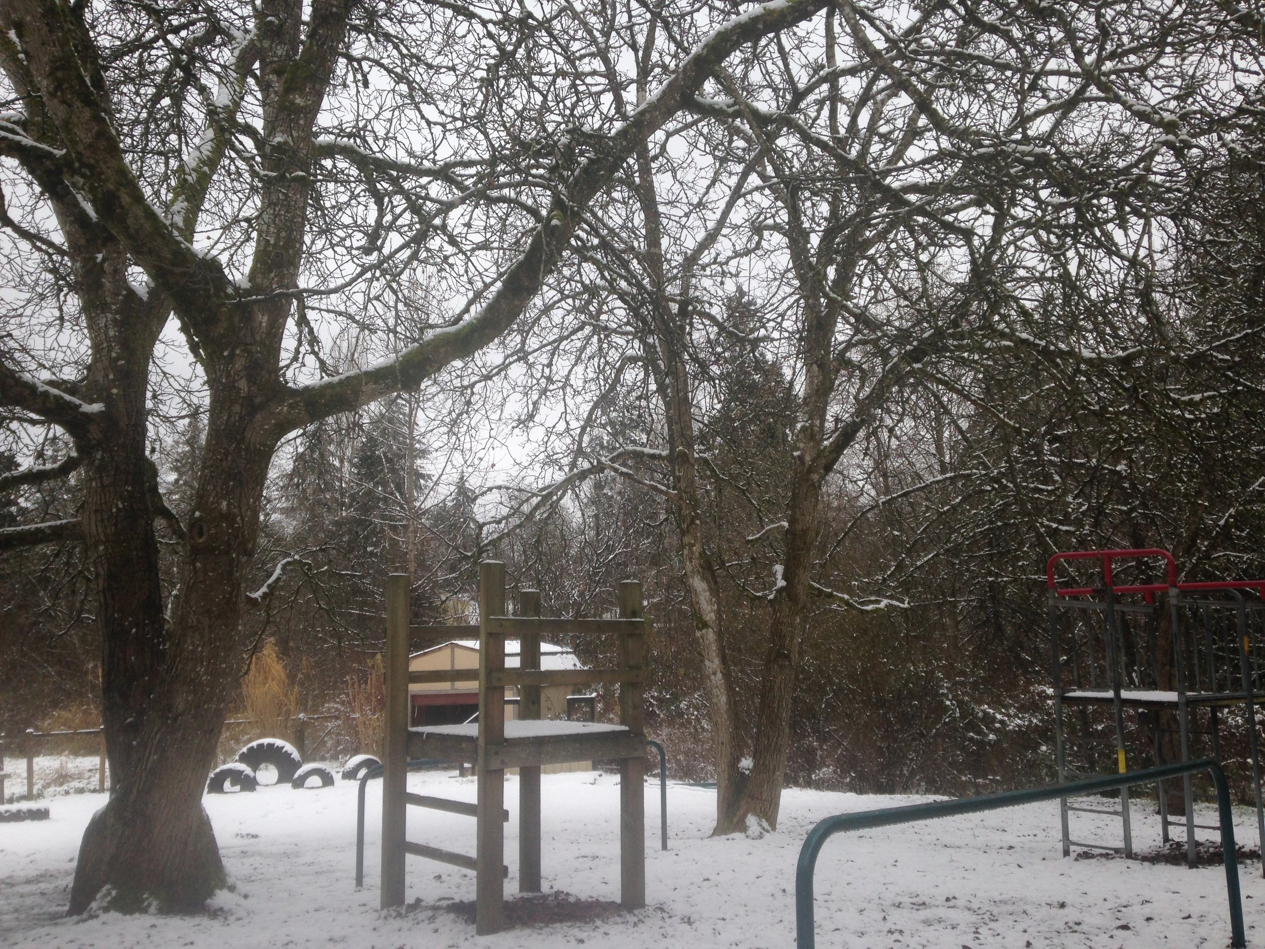 The Clearwater playground and play structures covered in a light layer of snow.