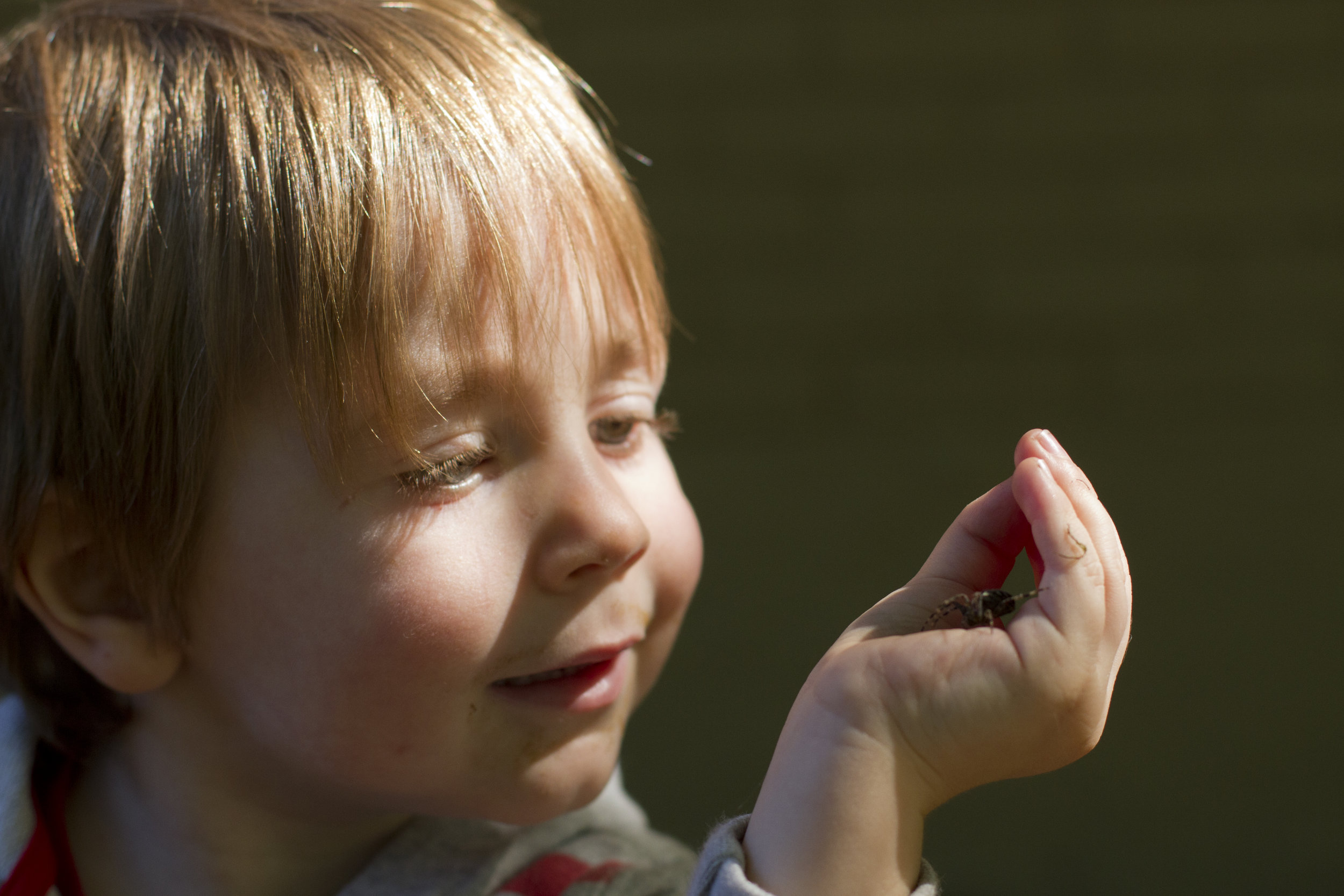 A young student watches a spider held in the cup of their hand.