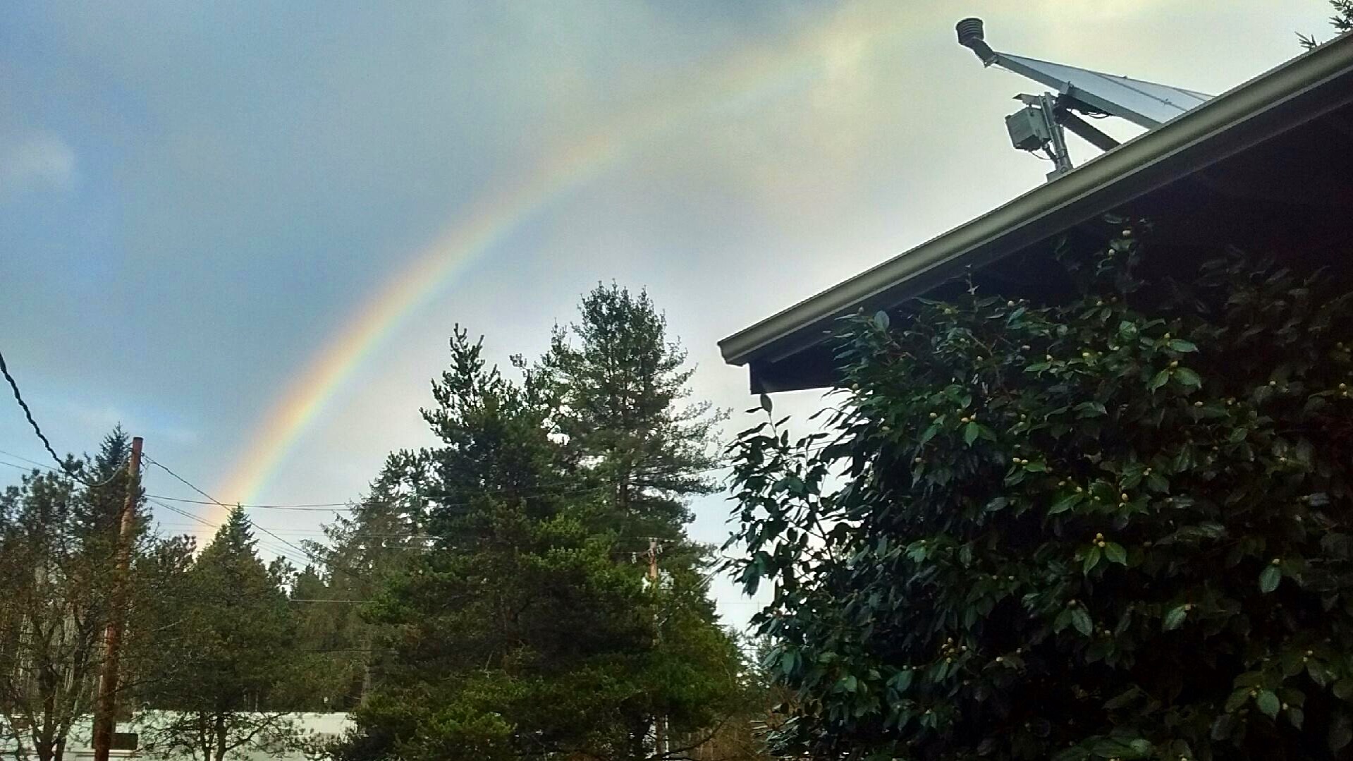 A rainbow shines over the trees at Clearwater.