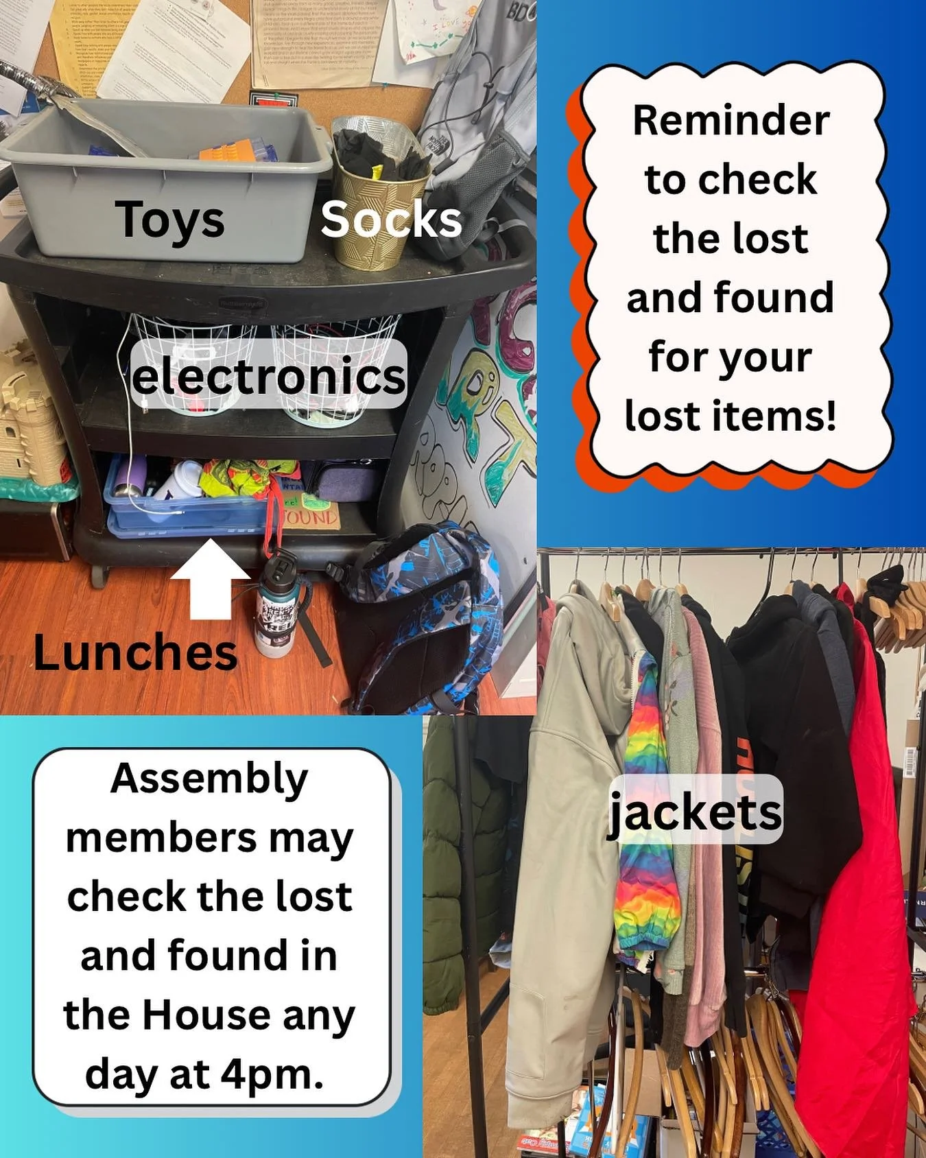 There are even more lost, sad, and lonely items in the lost and found than there were when this photo was taken! Use this image as a map to rescue them. Assembly members are invited into the House at or after 4pm to see for themselves what they can s