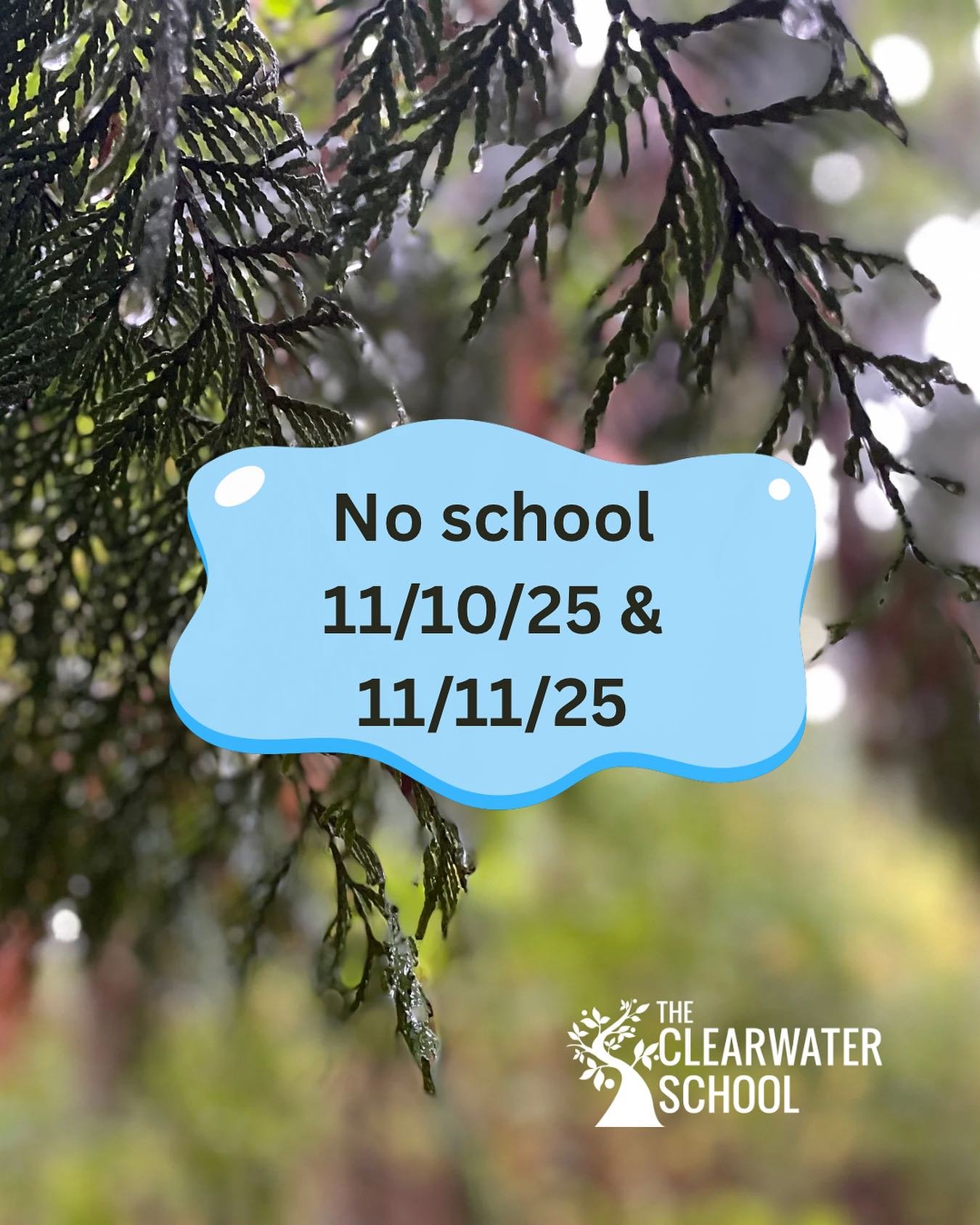 This is a reminder that we have no school next Monday and Tuesday for a staff development day and Veterans Day. Don&rsquo;t forget Fall Fest is this Saturday! We hope to see you there. 🎃