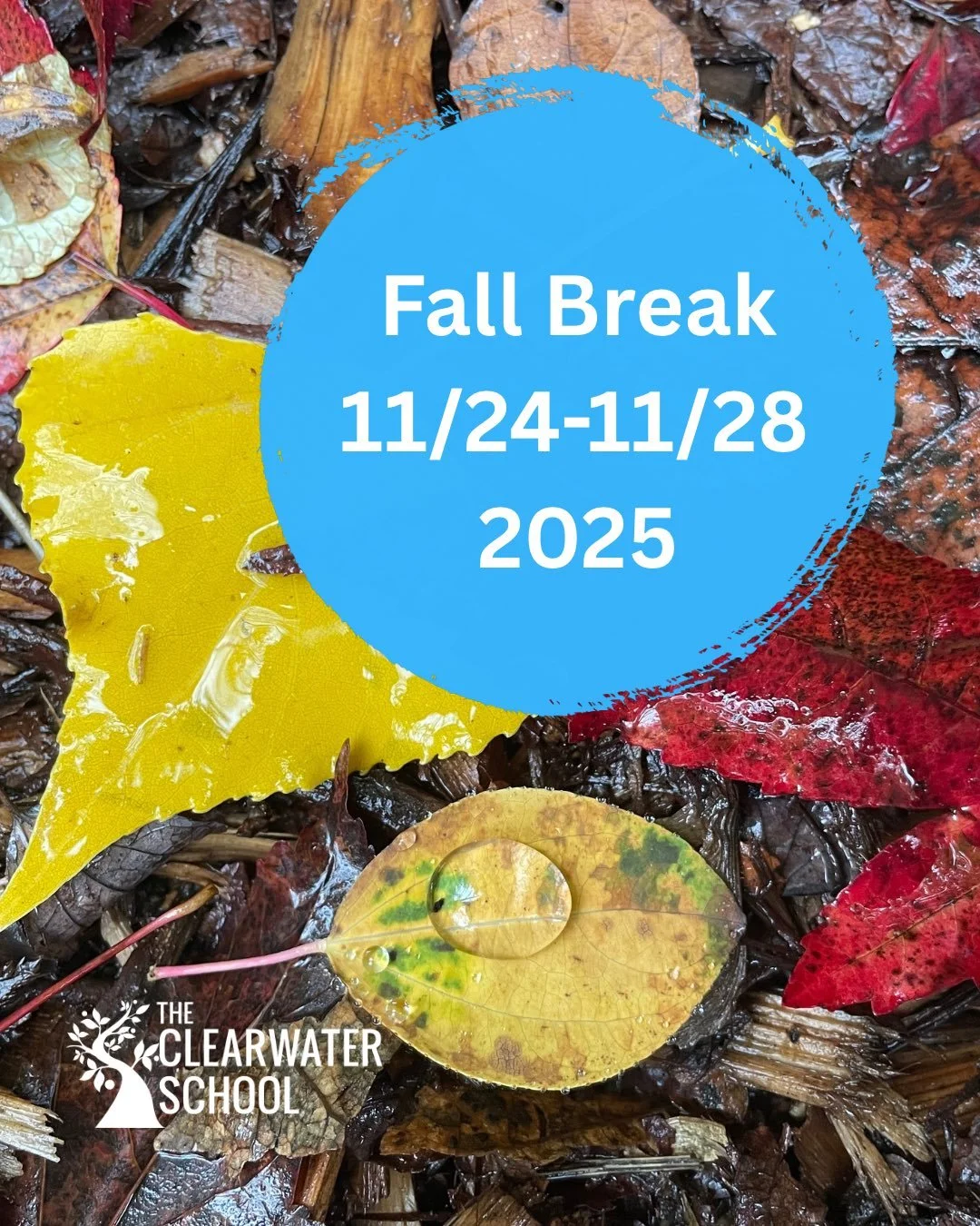 This is a reminder that we do not have school from 11/24-11/28 for Fall Break. @wellbeing.communitycenter will have some cool events available this next week though! 

Important note: the food distribution will be happening at @silvercreekfamily chur