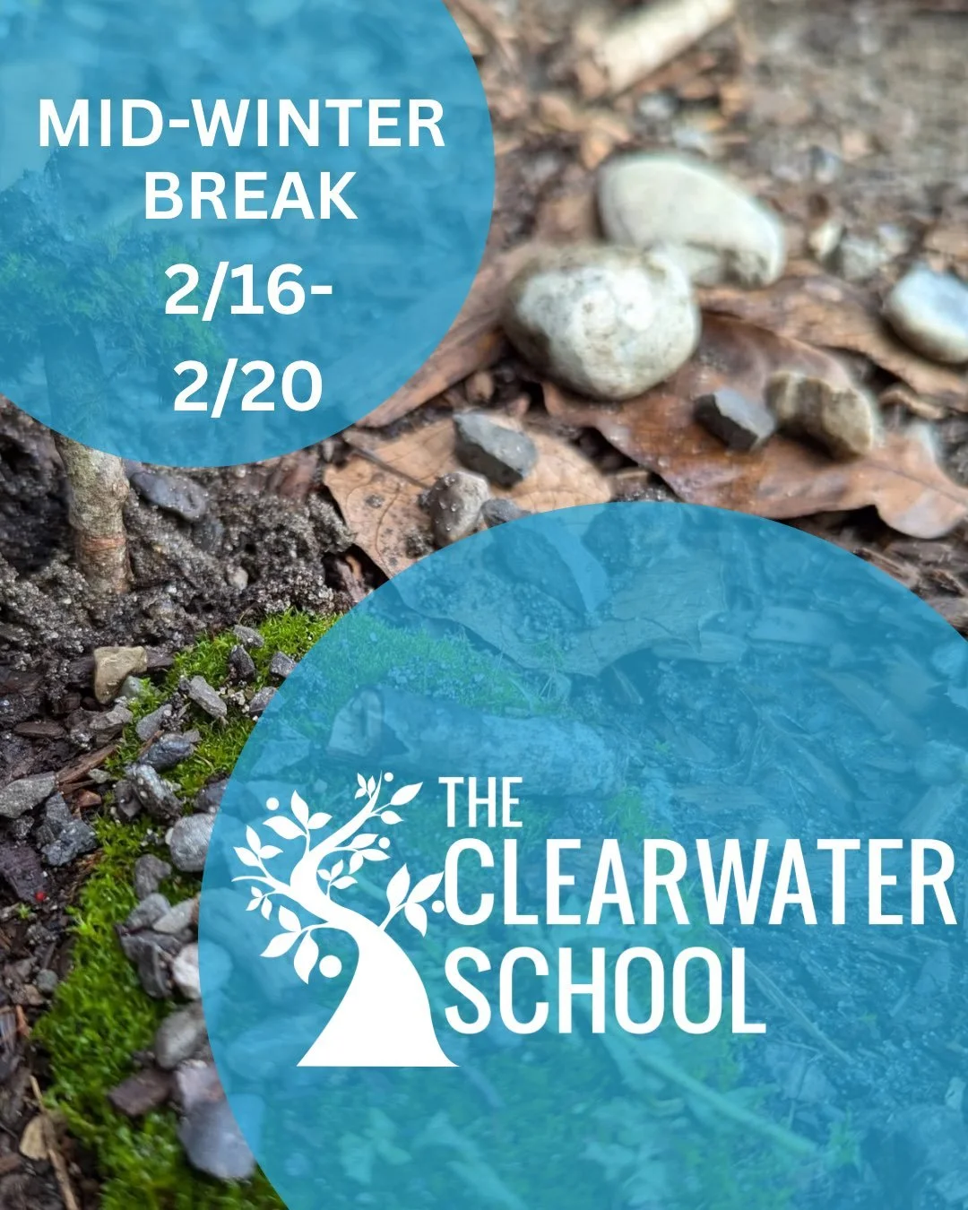 Reminder that we have no school next week for mid-winter break! But we will still be hosting art drop in on Monday and the food distribution on both Saturdays. 

Swipe through to the last slide to see a special post designed by student Della. :)