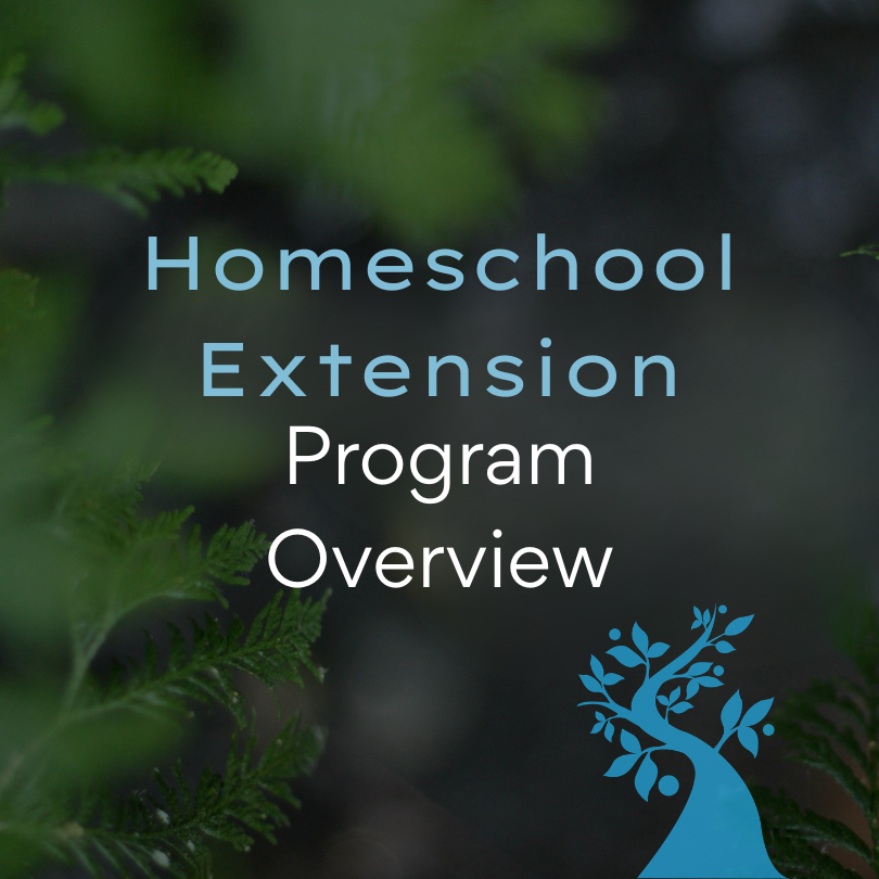 text reads homeschool extension program overview with the clearwater logo