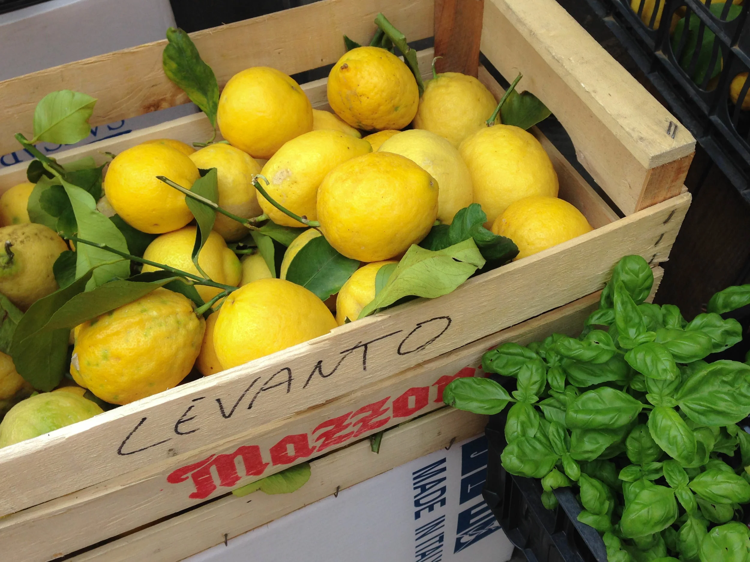 lemons.jpg