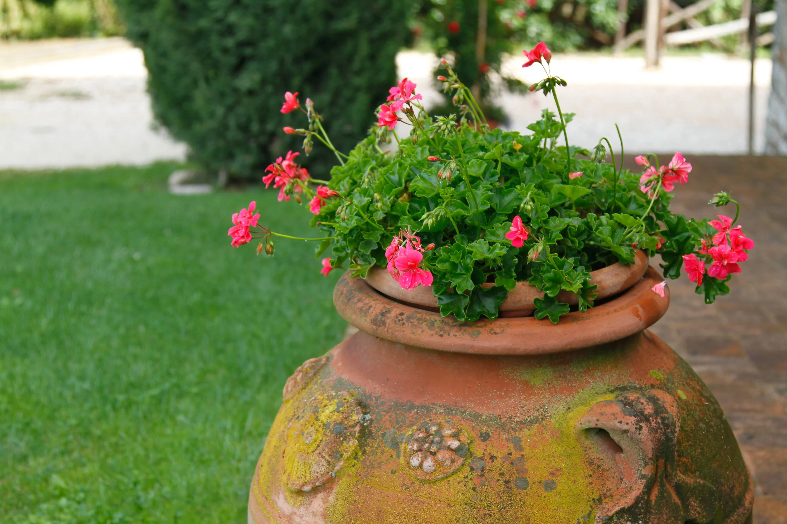 website images-159.jpg