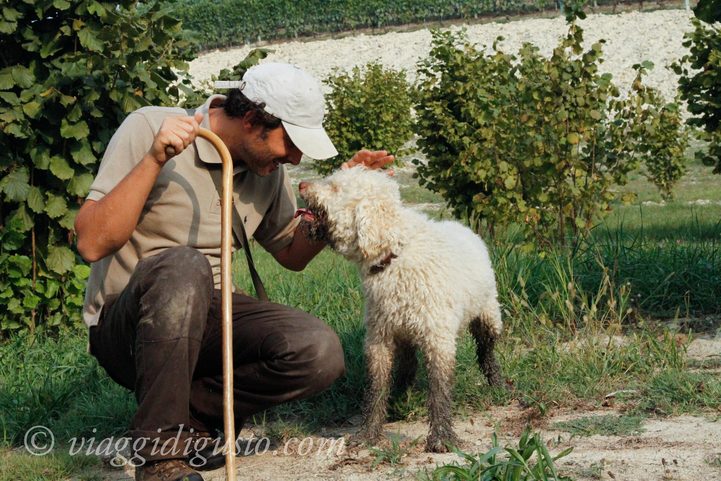 truffle hunter giuseppe.jpg