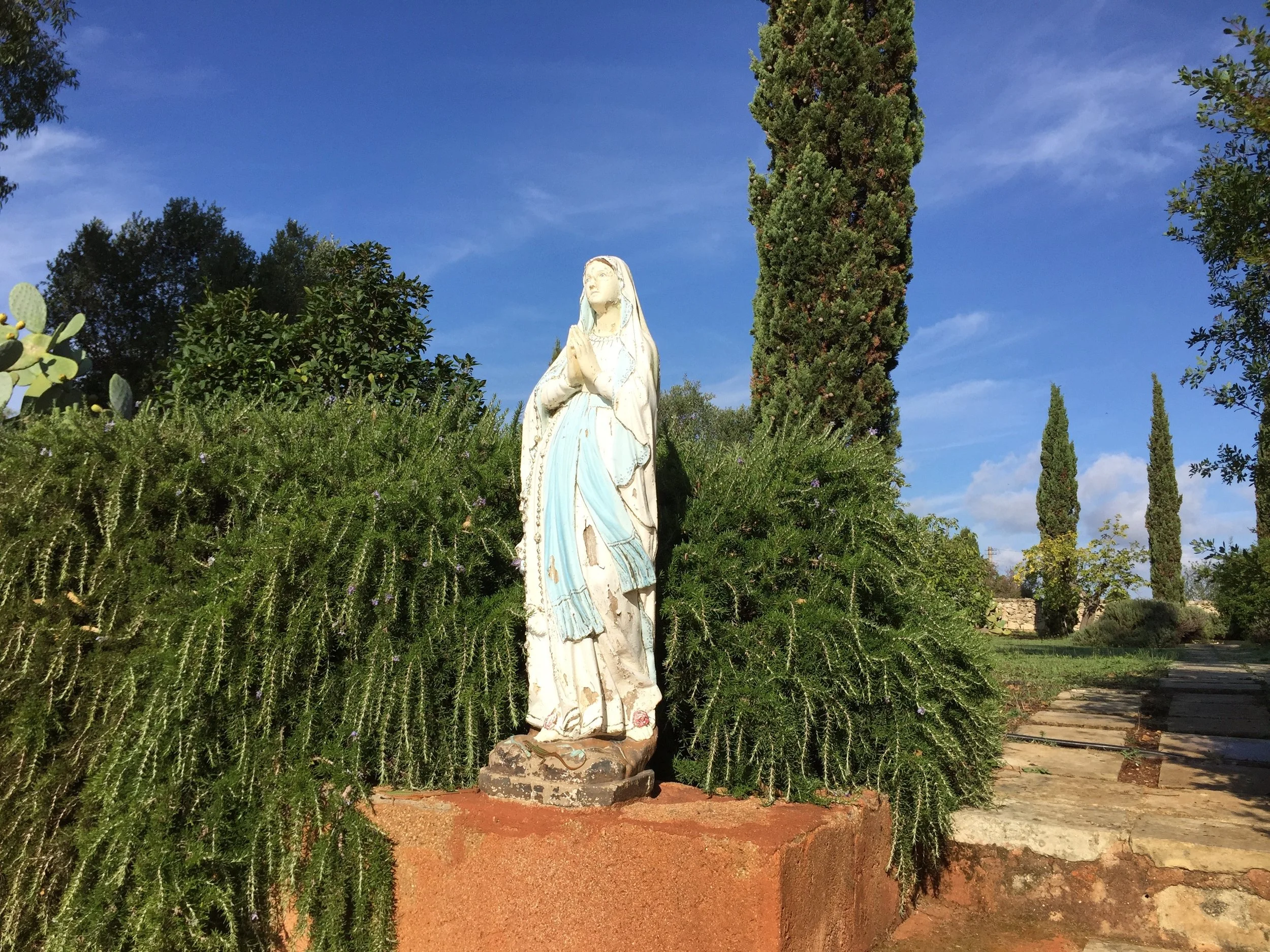 montelauro_2015_150.jpg