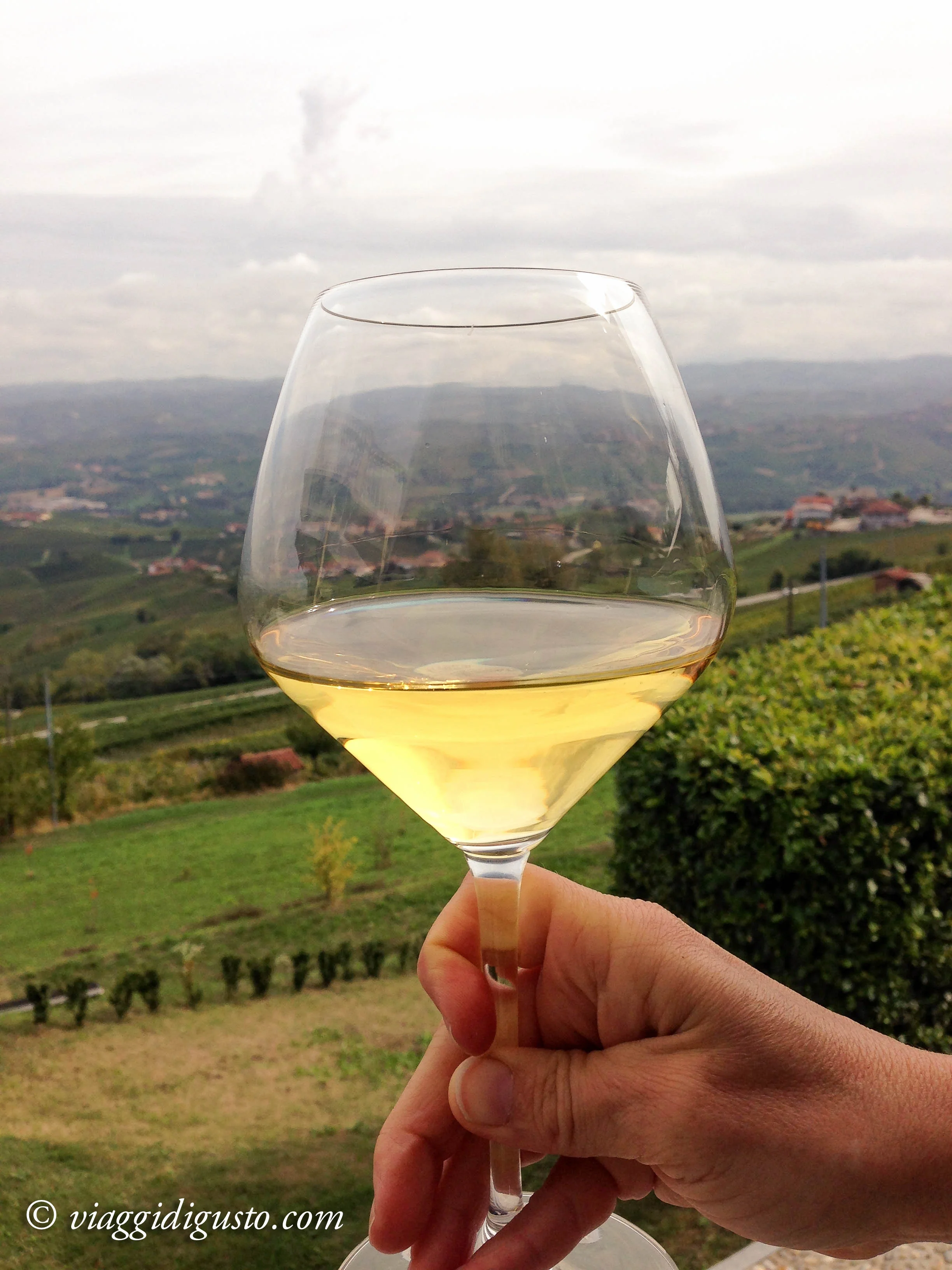 piedmonte & liguria 2012-12.jpg