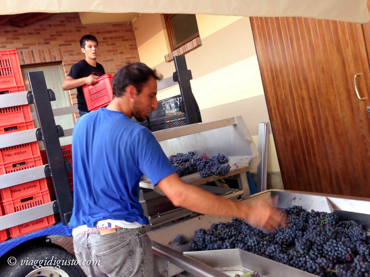sebaste tasting-3.jpg
