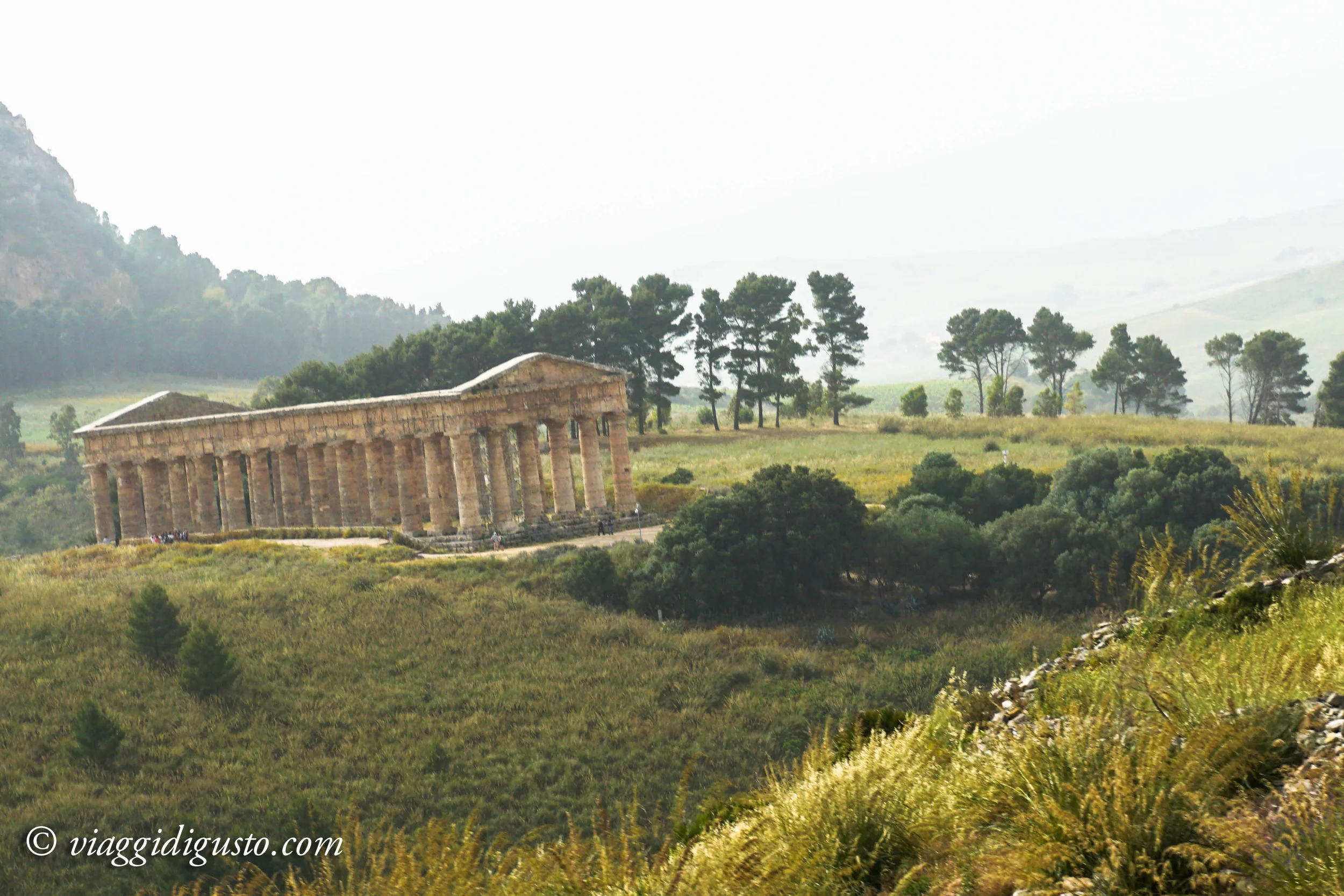 segesta_sicily_2016_8676.jpg