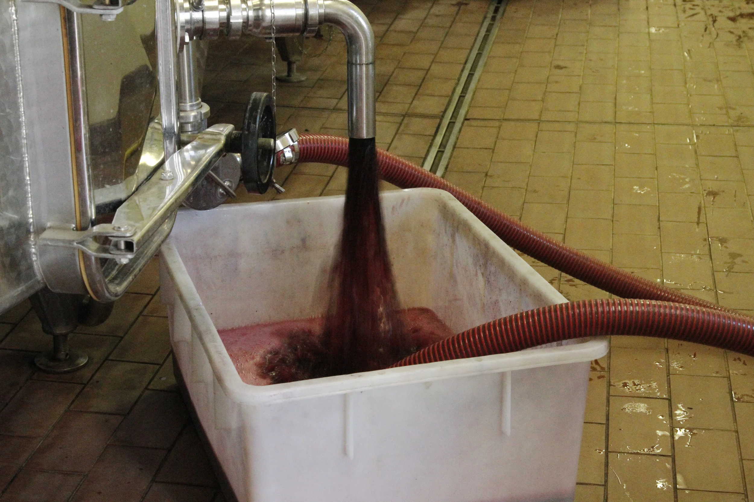 borgodiscopeto_winery_20126800_049.jpg