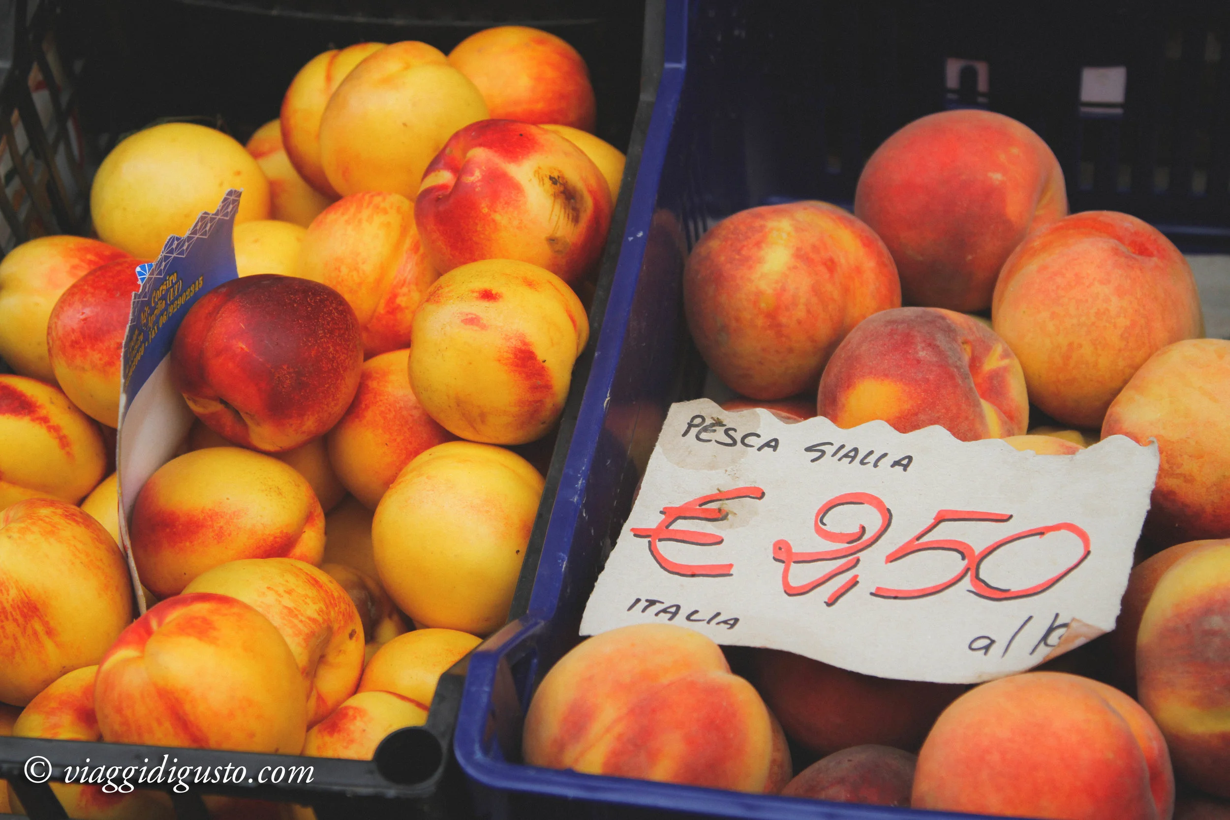 peaches umbria.jpg