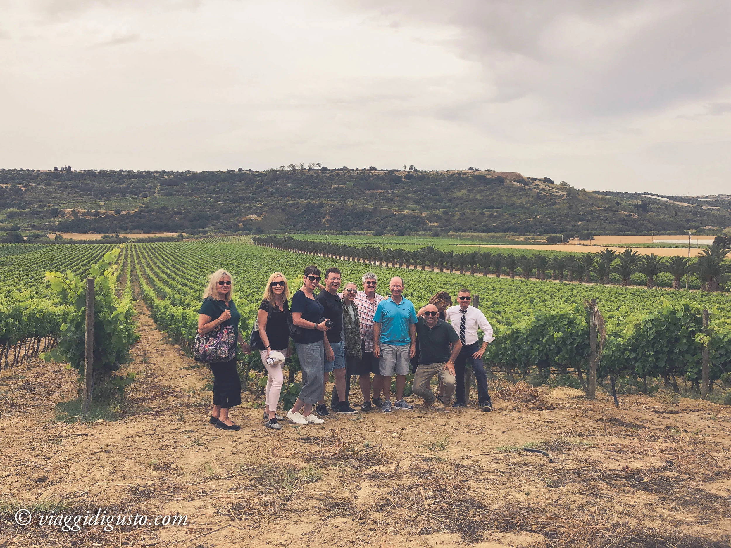 Valle dell' Acate Winery.