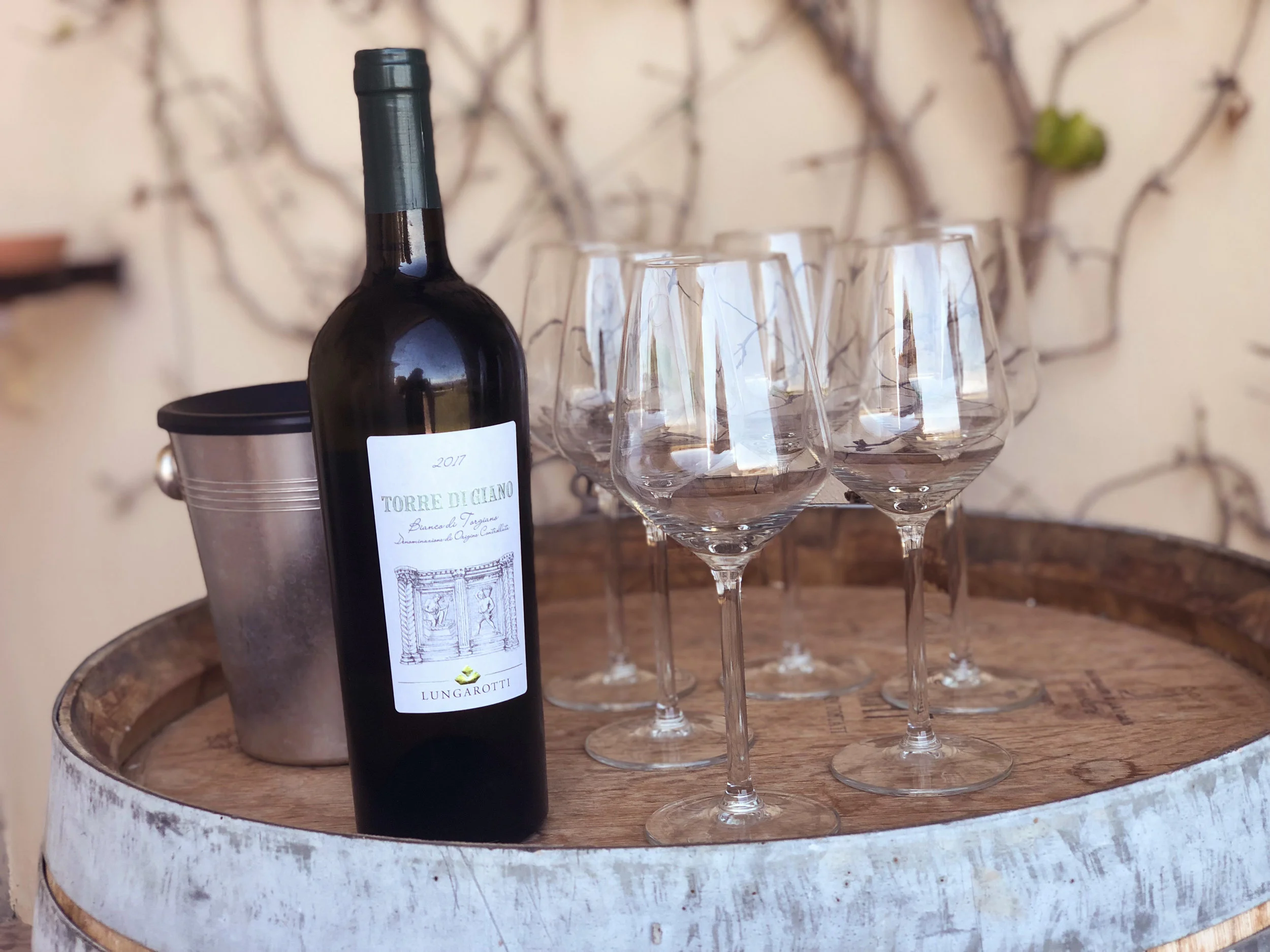 wine tasting, lungarotti winery (umbria)