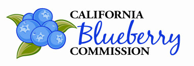 Blueberry-Logo-Color-e1423268188842.jpg
