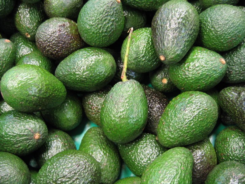 Organic_Avocado_Hass_Fuerte.jpg