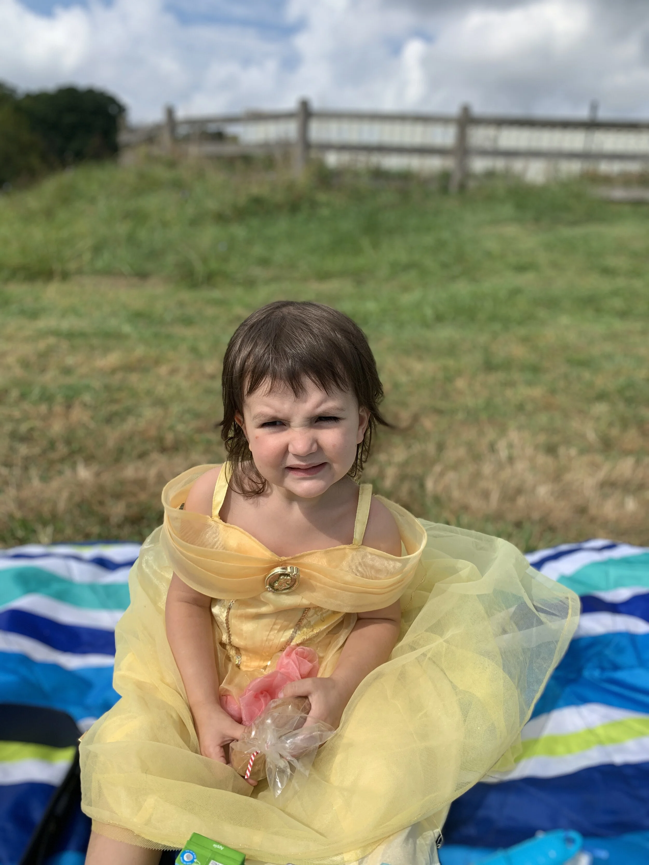  Toddler Costume Ideas 