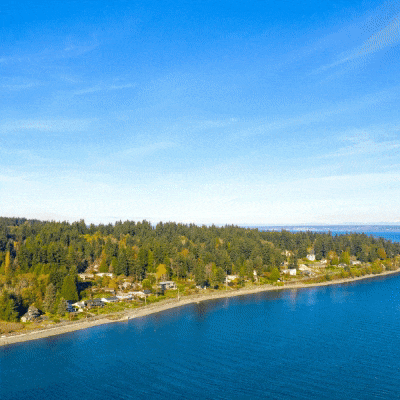 Bainbridge-Q3-Facebook.gif