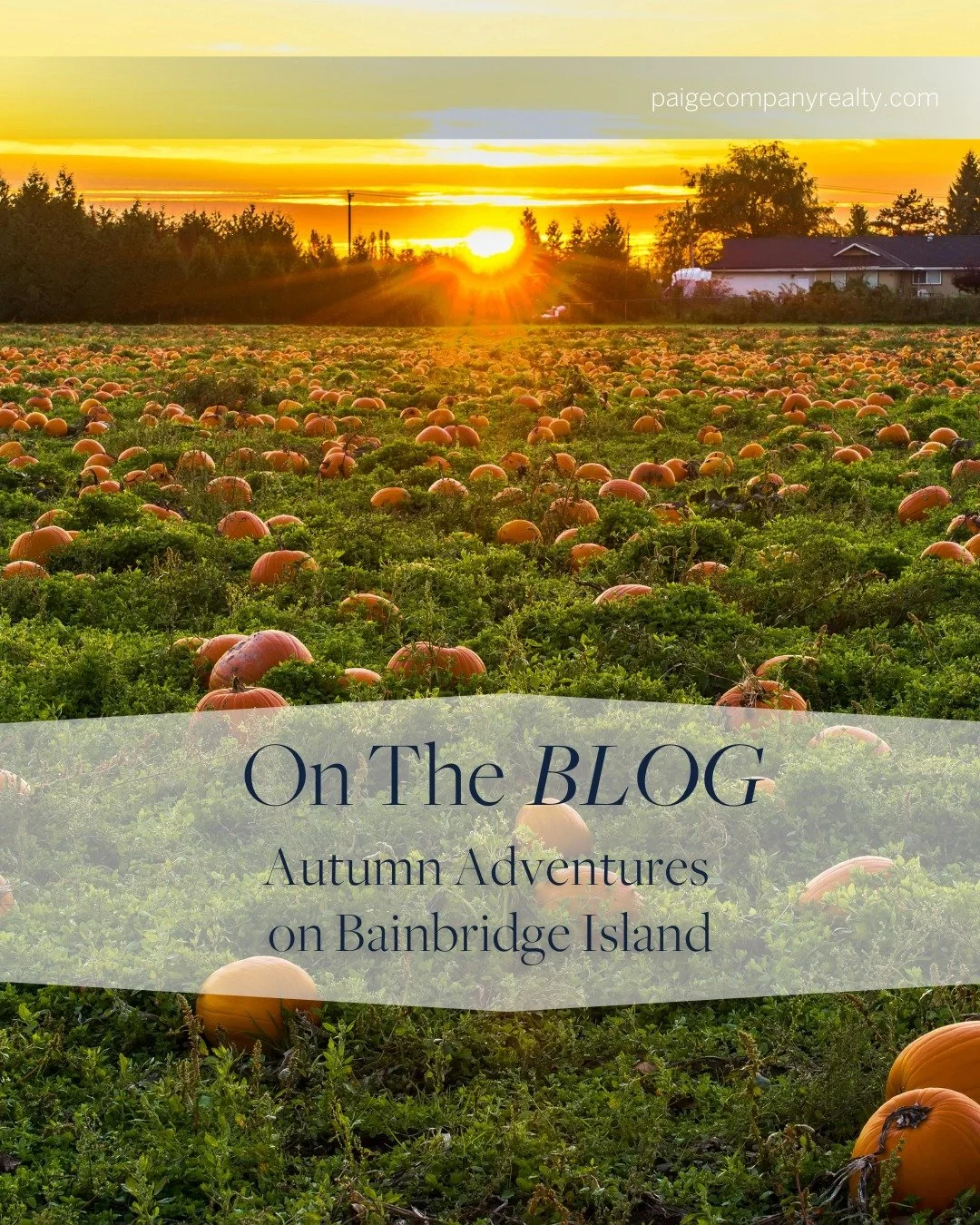 On The BLOG / Autumn Adventures on Bainbridge Island

Fall on Bainbridge Island feels a little magical. The air turns crisp, the trees light up in hues of amber and red, and the island&rsquo;s pace seems to slow just enough to savor the season. For f