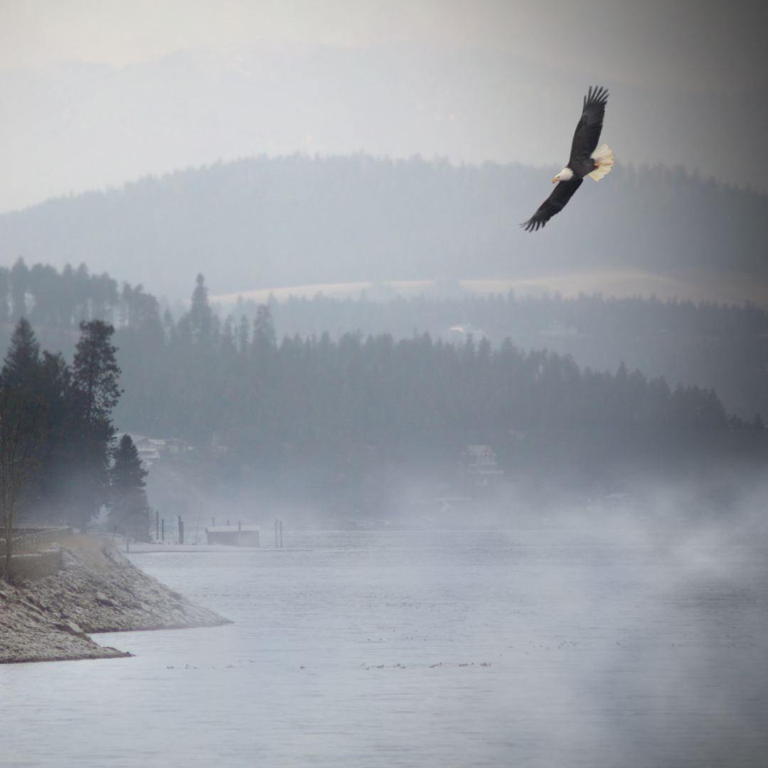 Stock Photos - IG  - 2026-01-28T085104.694.png