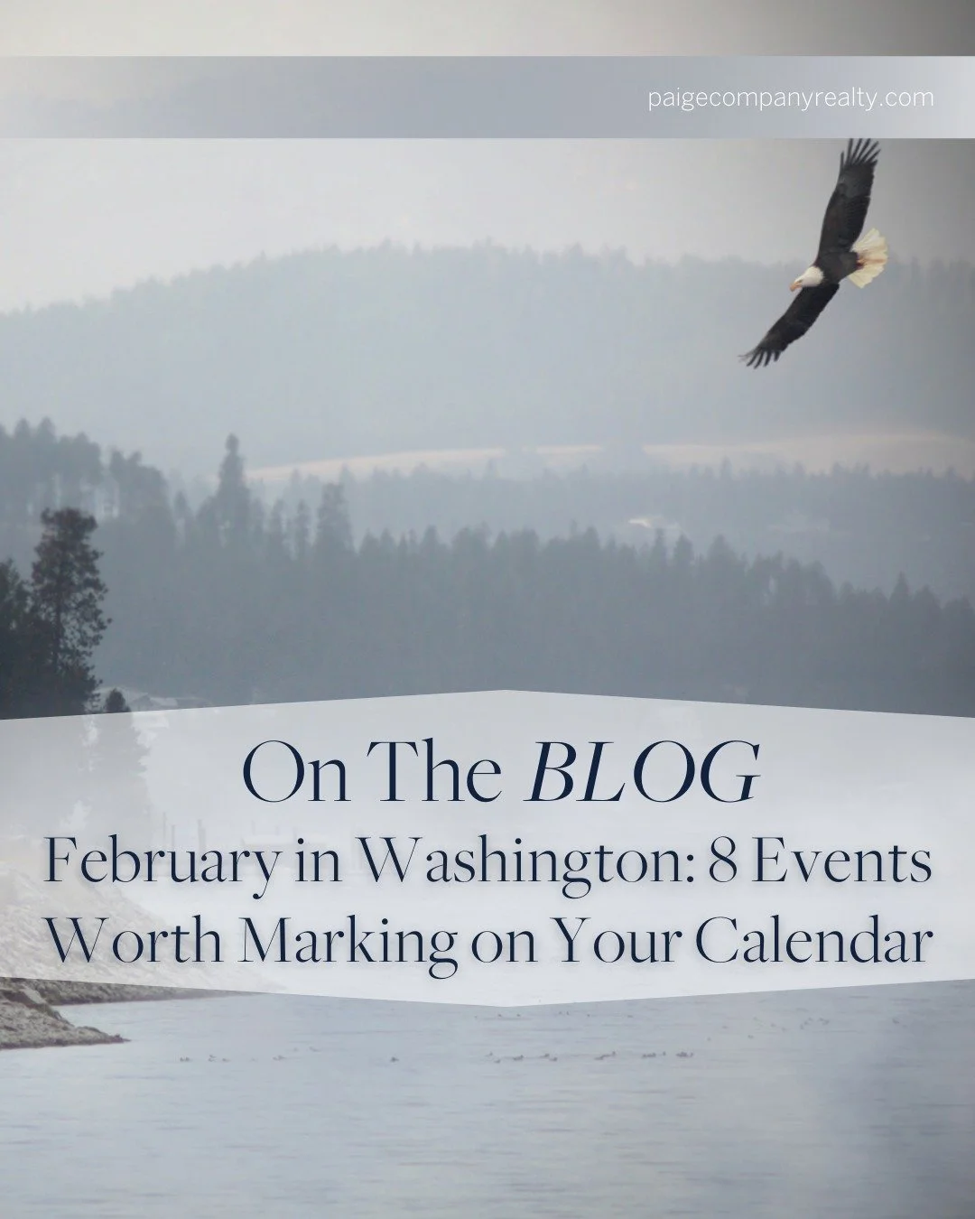 On The BLOG / February in Washington: 8 Events Worth Marking on Your Calendar

February may be one of the quieter months of the year, but Washington comes alive with culture, community gatherings, festivals, and activities for all ages. Whether you&r