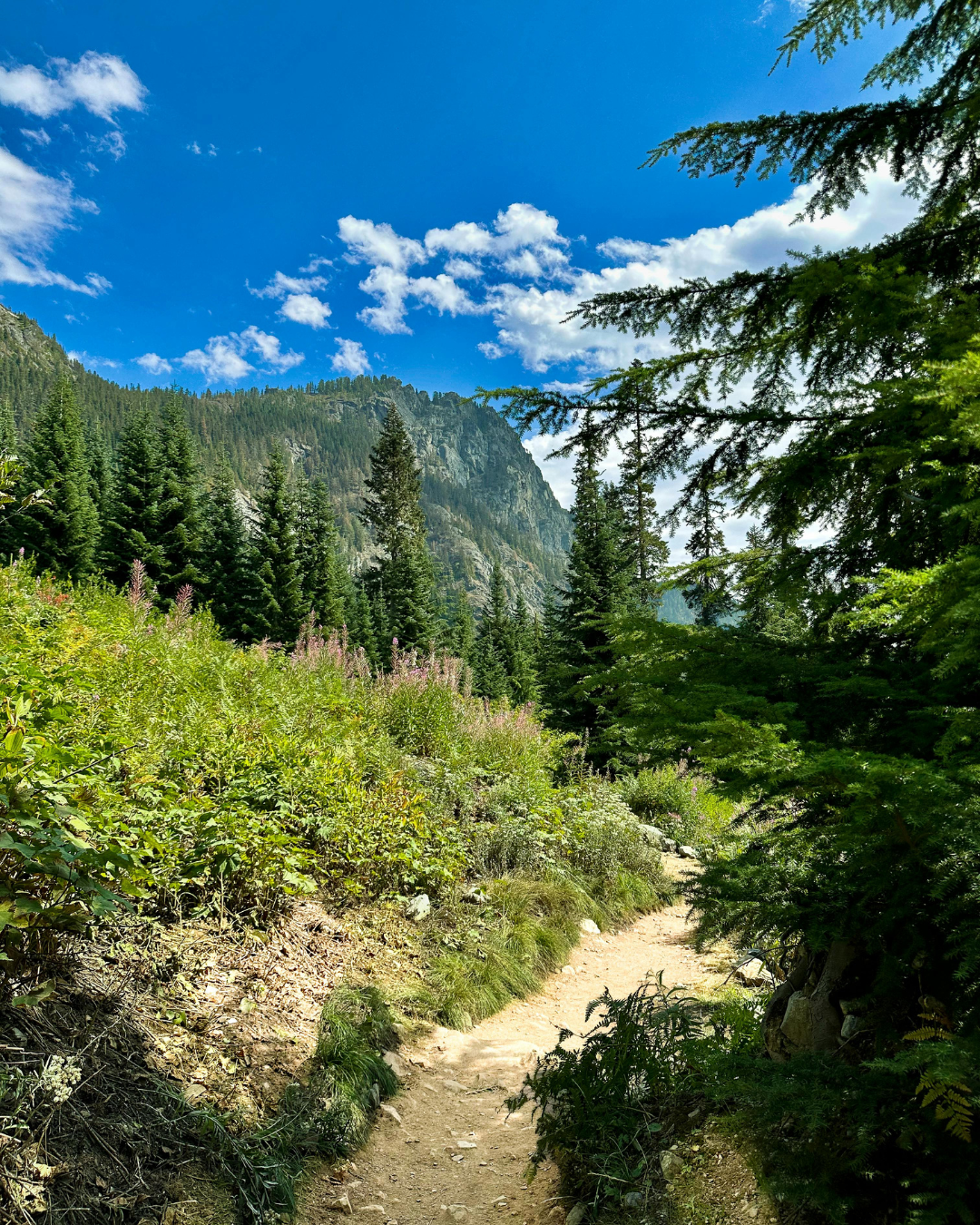 Bainbridge Island Waterfront Trail System