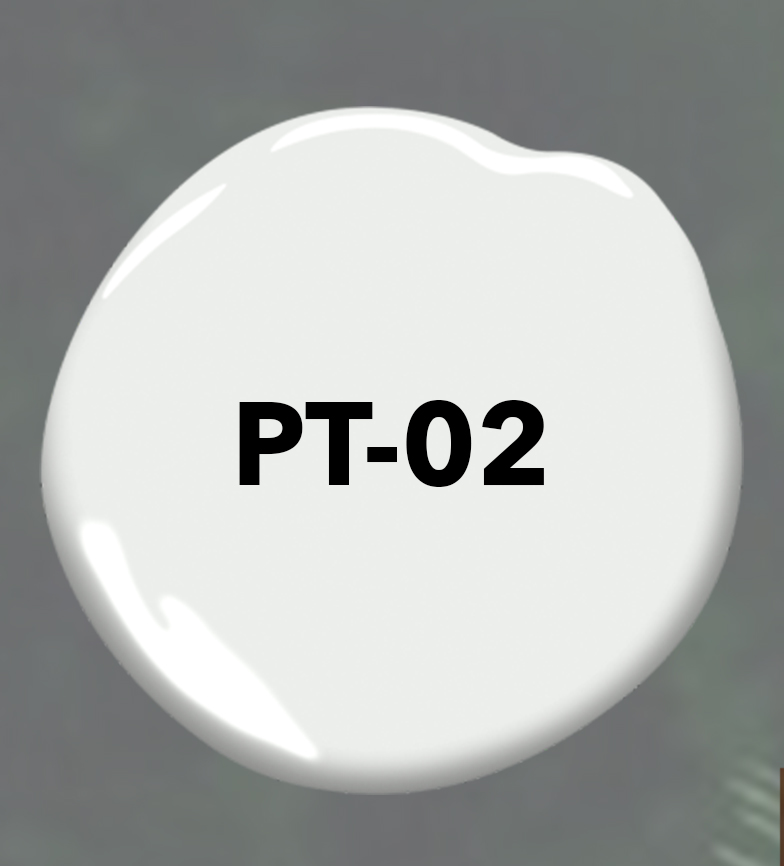 PT-02.jpg