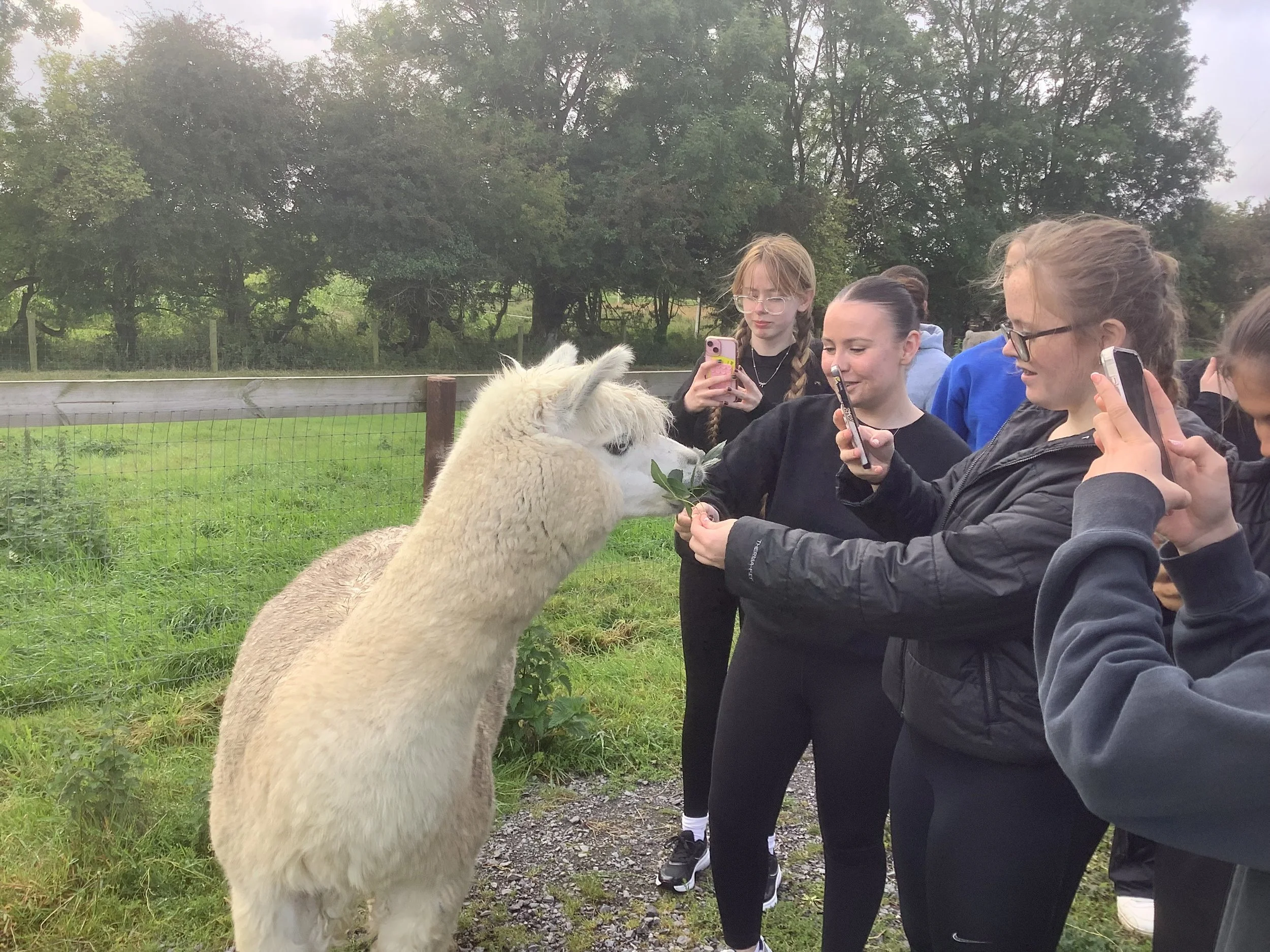 TY Trip to Causey Farm