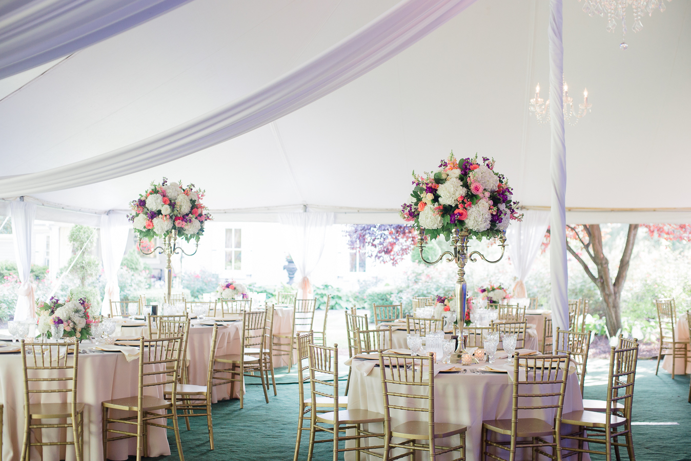 priestley savidge hosue wedding