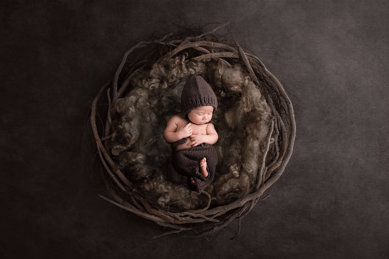 Williamsport baby photographers