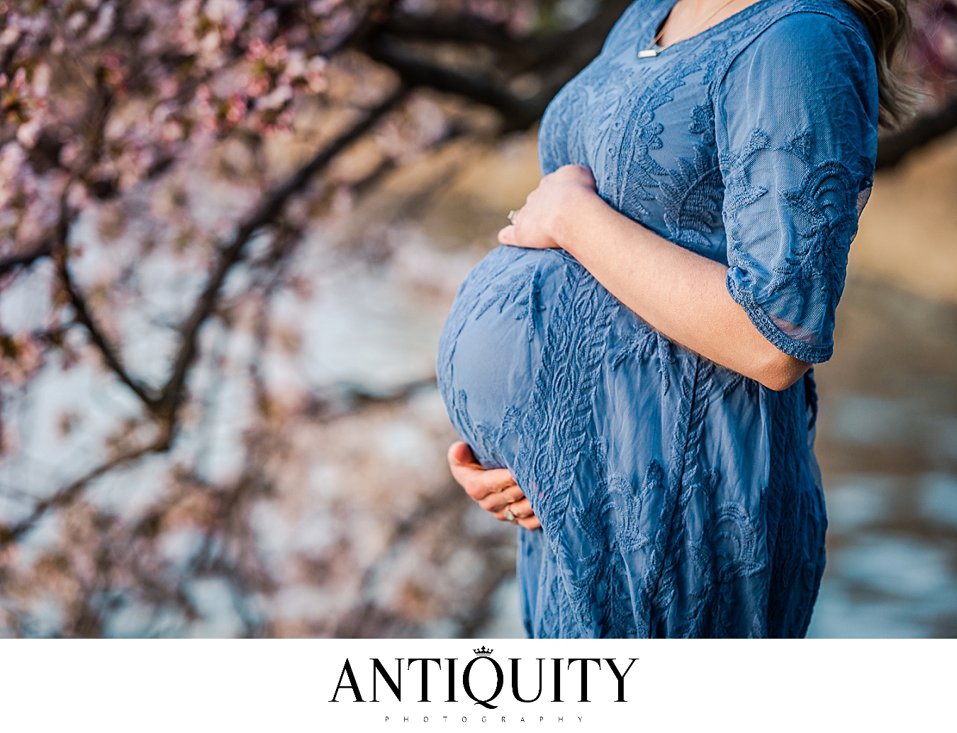 williamsport family photographer