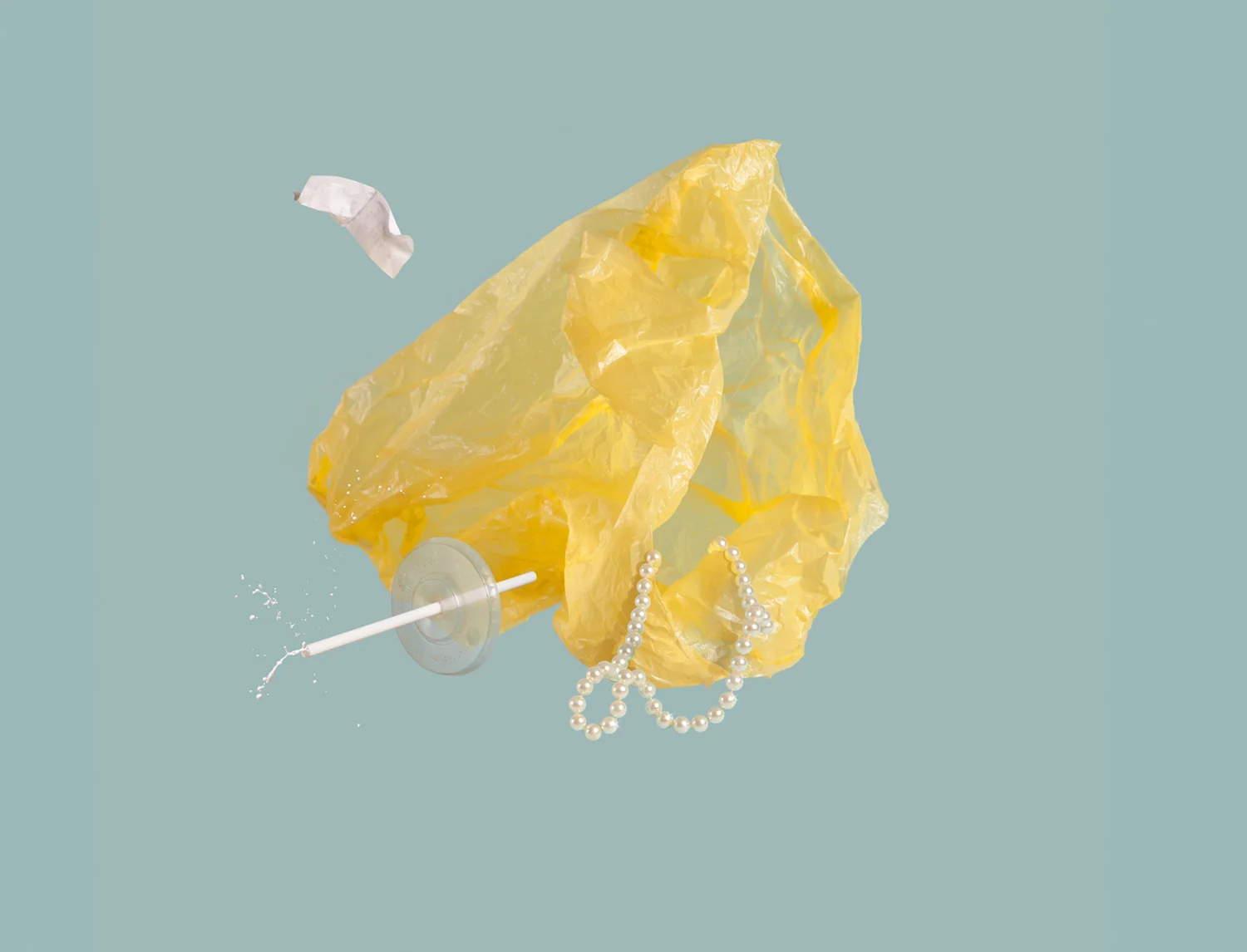 Haiku_Plastic_Web_1.jpg