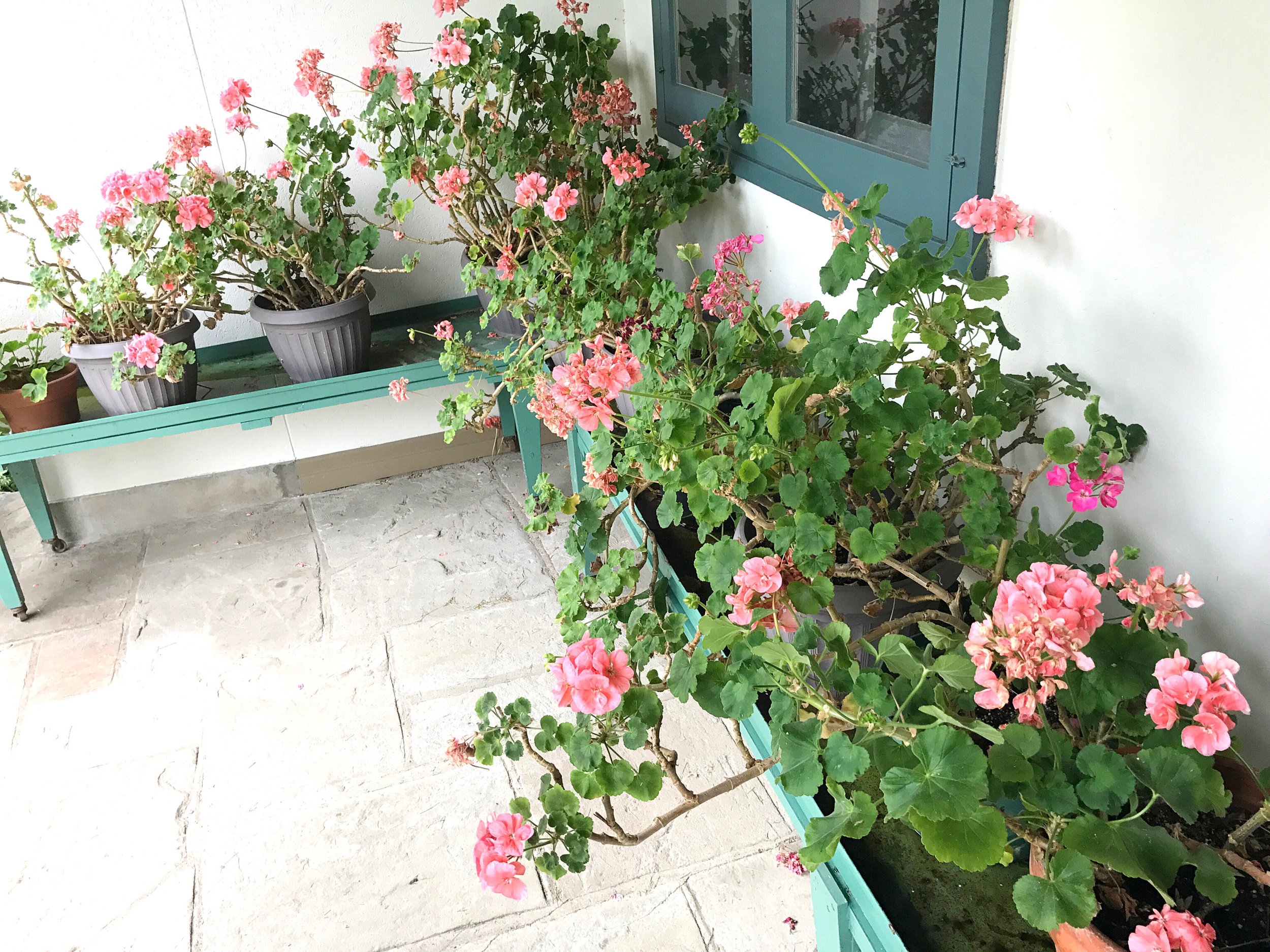 The front porch.