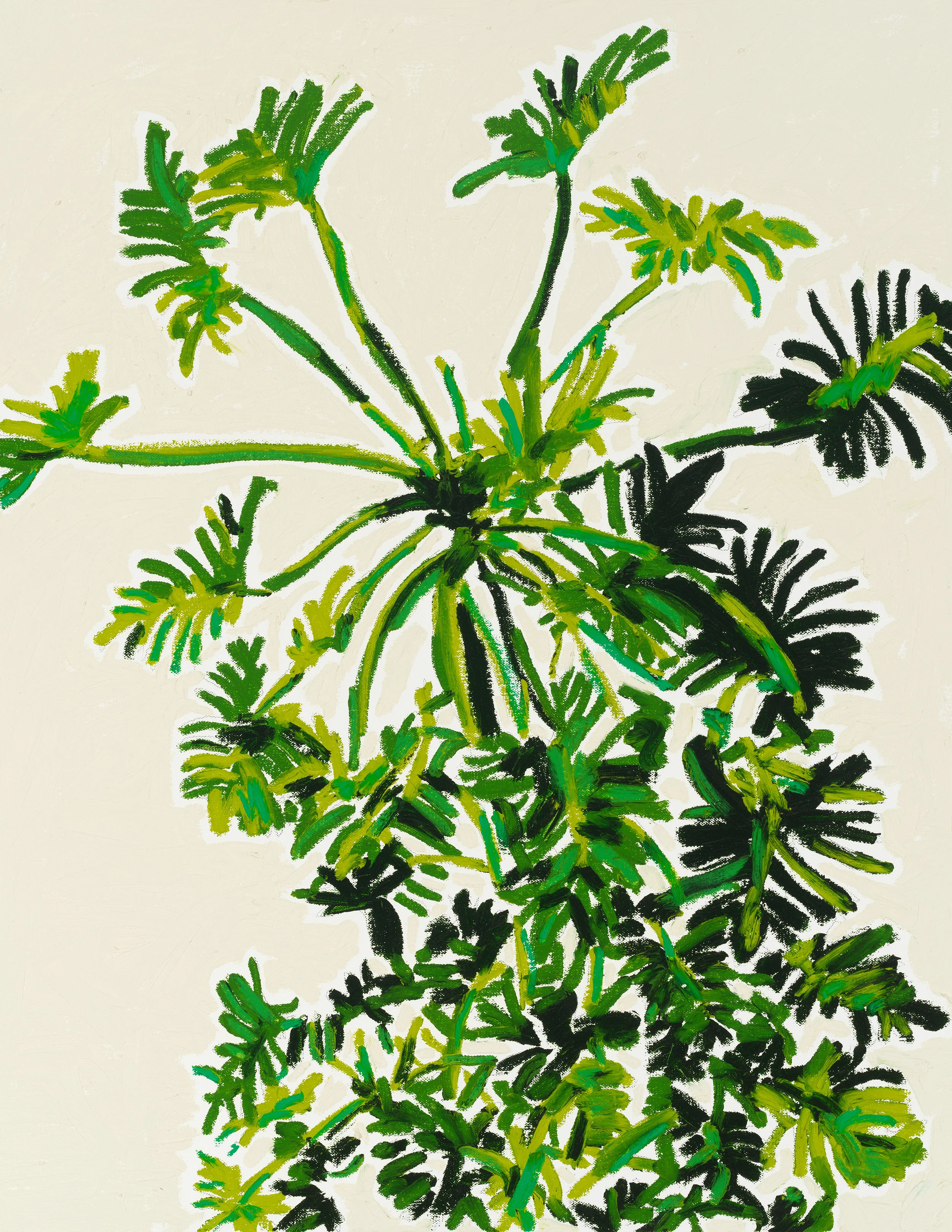8.5 x 11 prints.Plant for Matisse.jpg