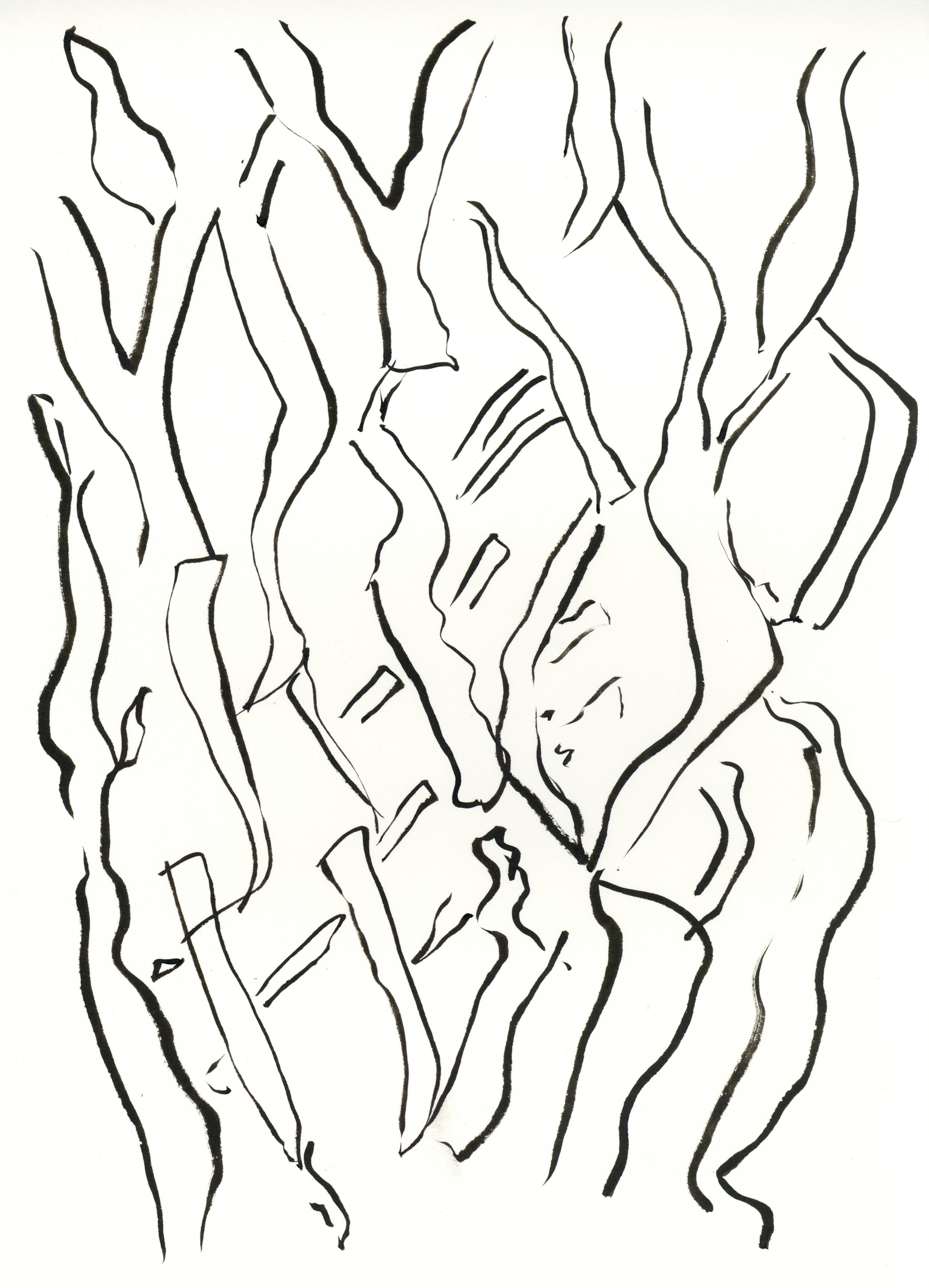 kate lewis art.tree sketch.JPG