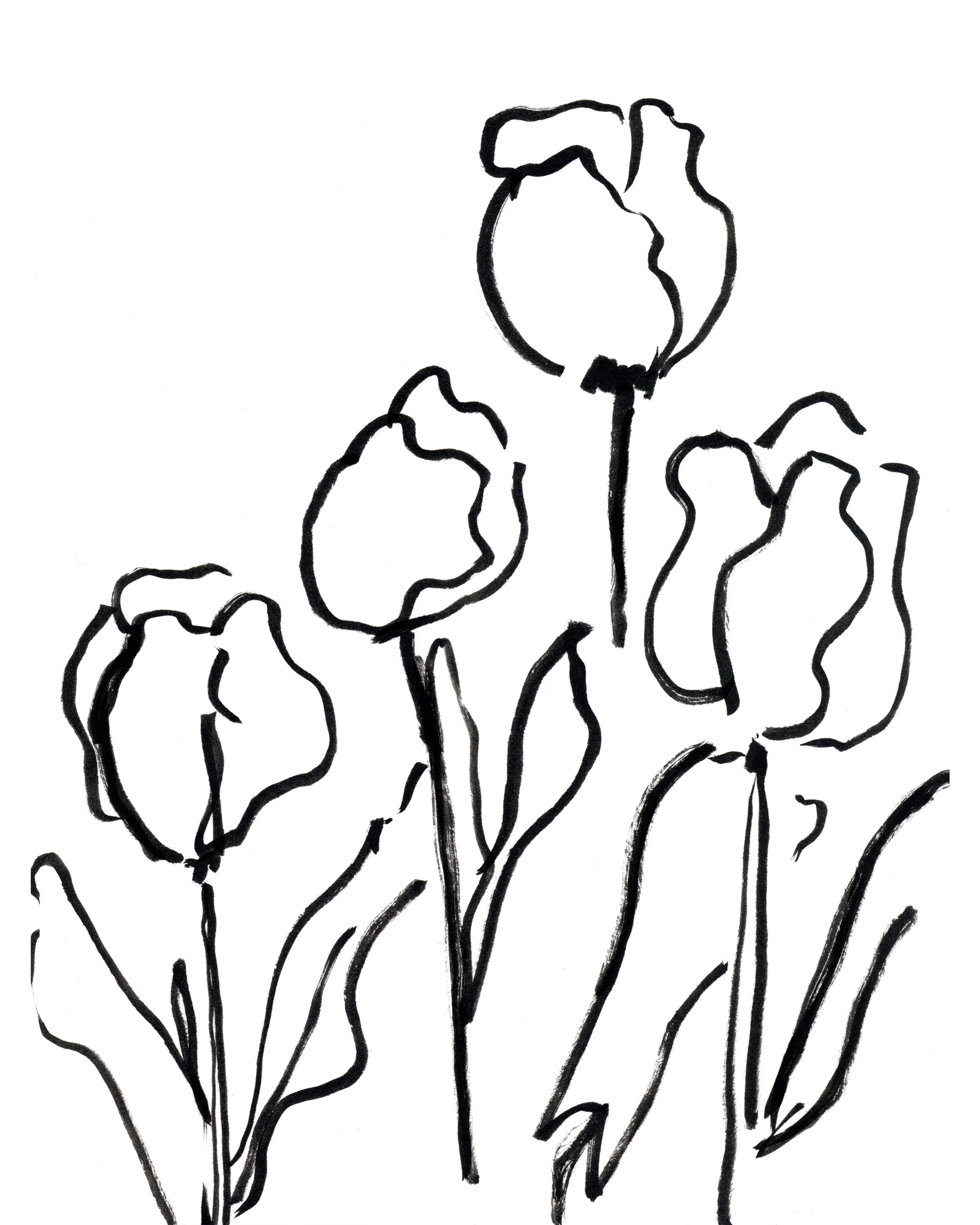 four tulips.kate lewis art.jpg