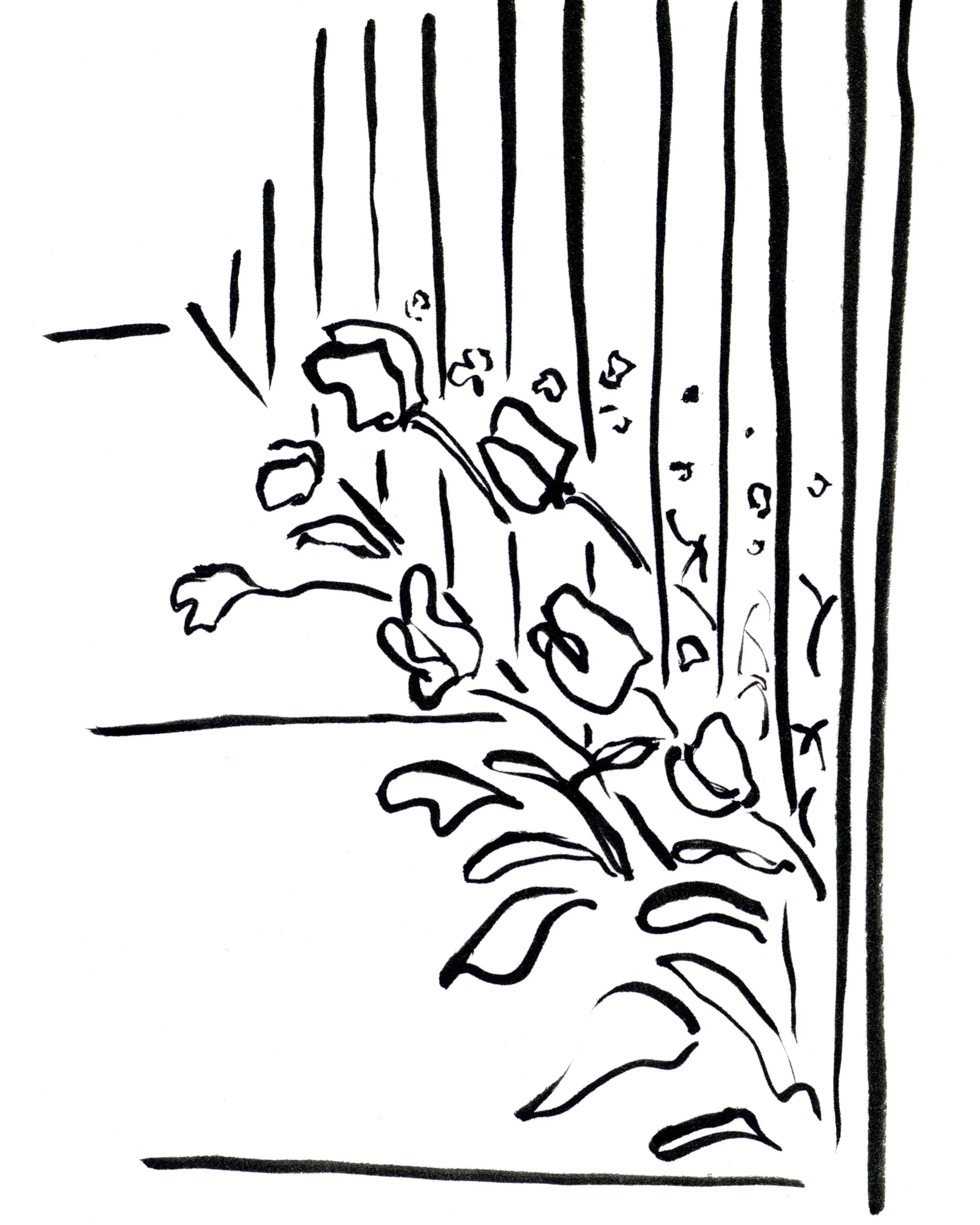 looking out.kate lewis art.jpg
