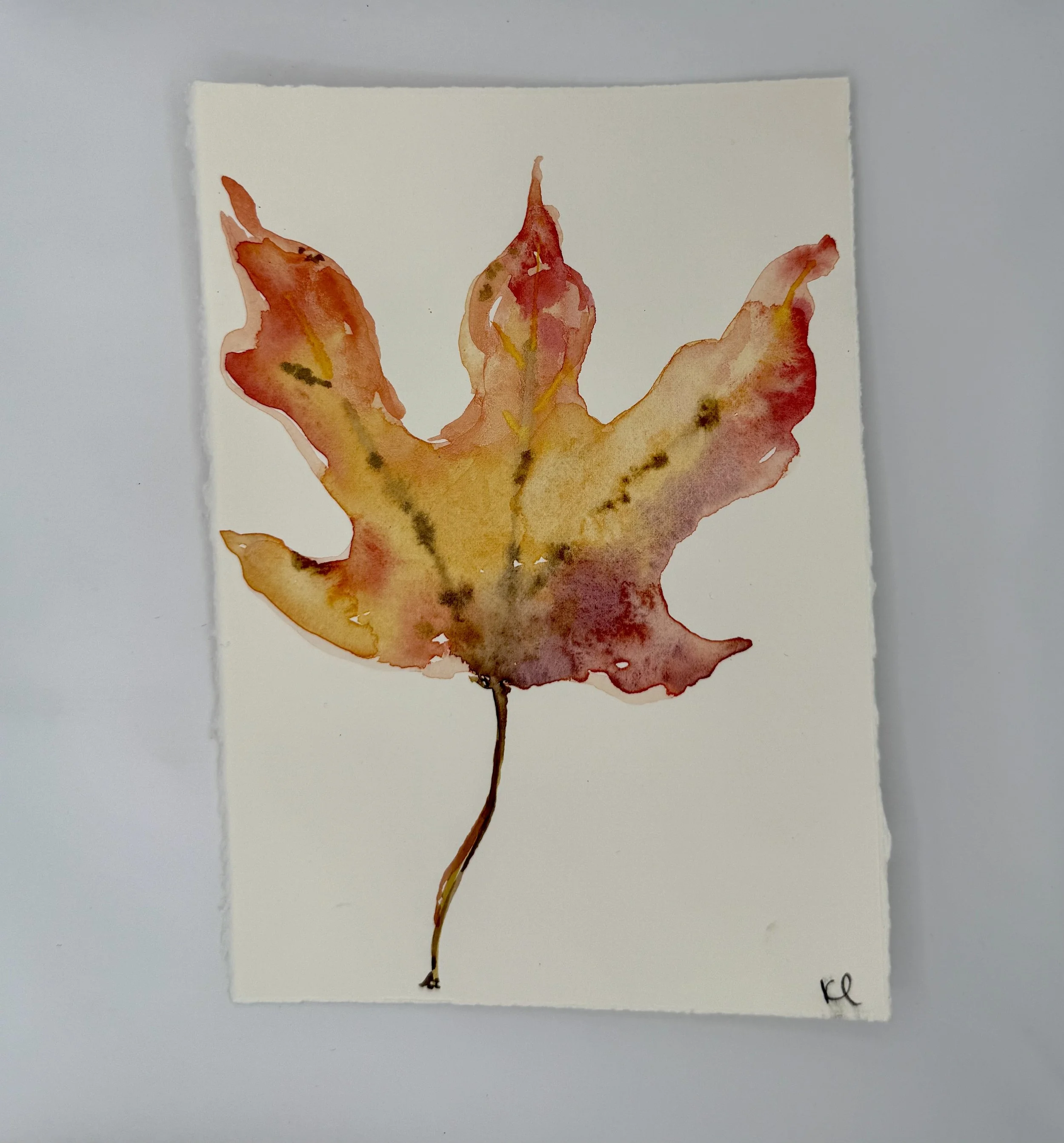 November 19, 2024 Morning Find, a 5 x 7 inch original sketch by Kate Lewis