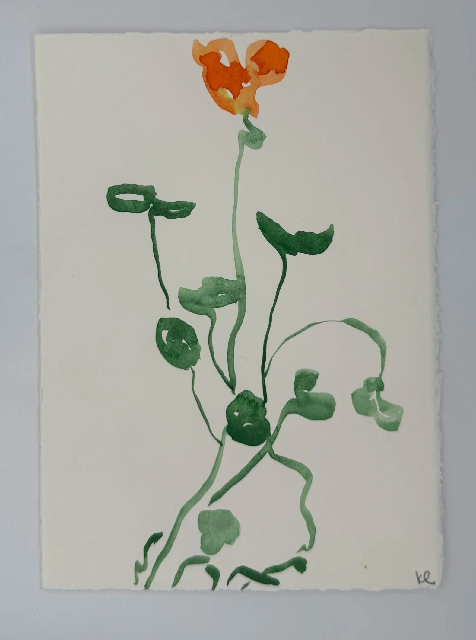 August 29, 2025 Morning Find, a 5 x 7 inch original sketch by Kate Lewis