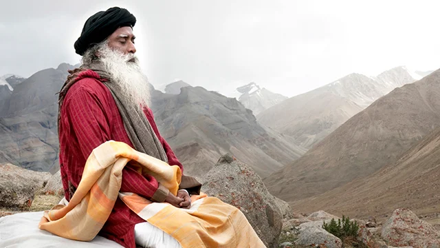 My Guru is a Bitch.