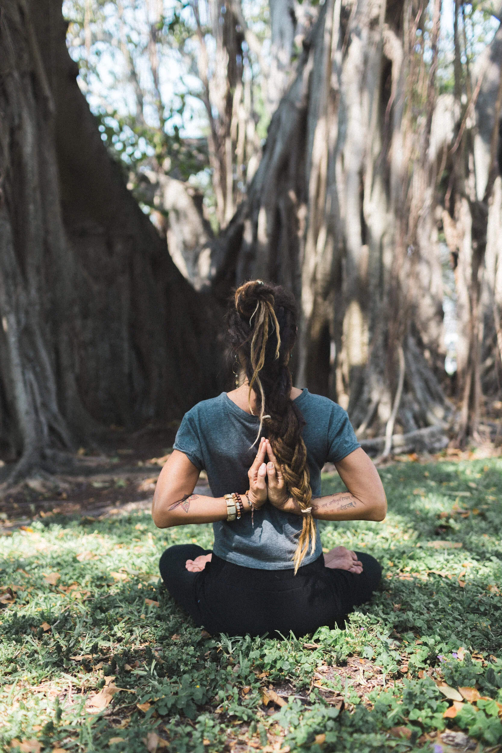 Bust out of your Acorn and into your Oak TODAY