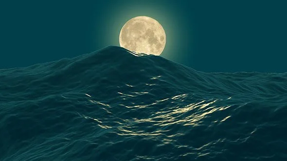 The Koshas: Anandamayakosha