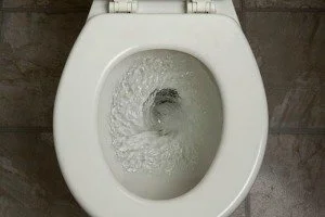 The Vayus: Apana Vayu