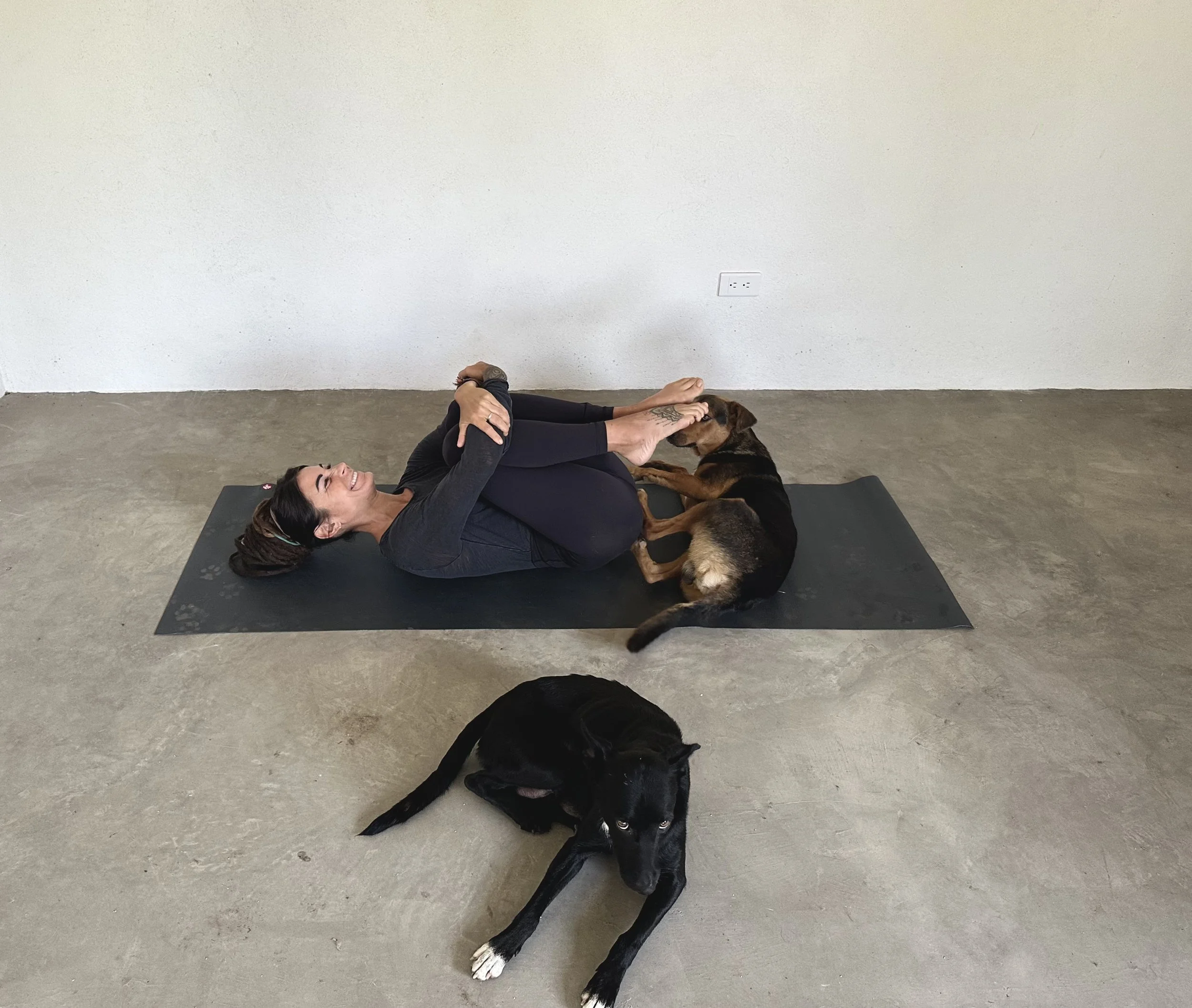 Yoga Asana: Knees to Chest Pose or Apanasana