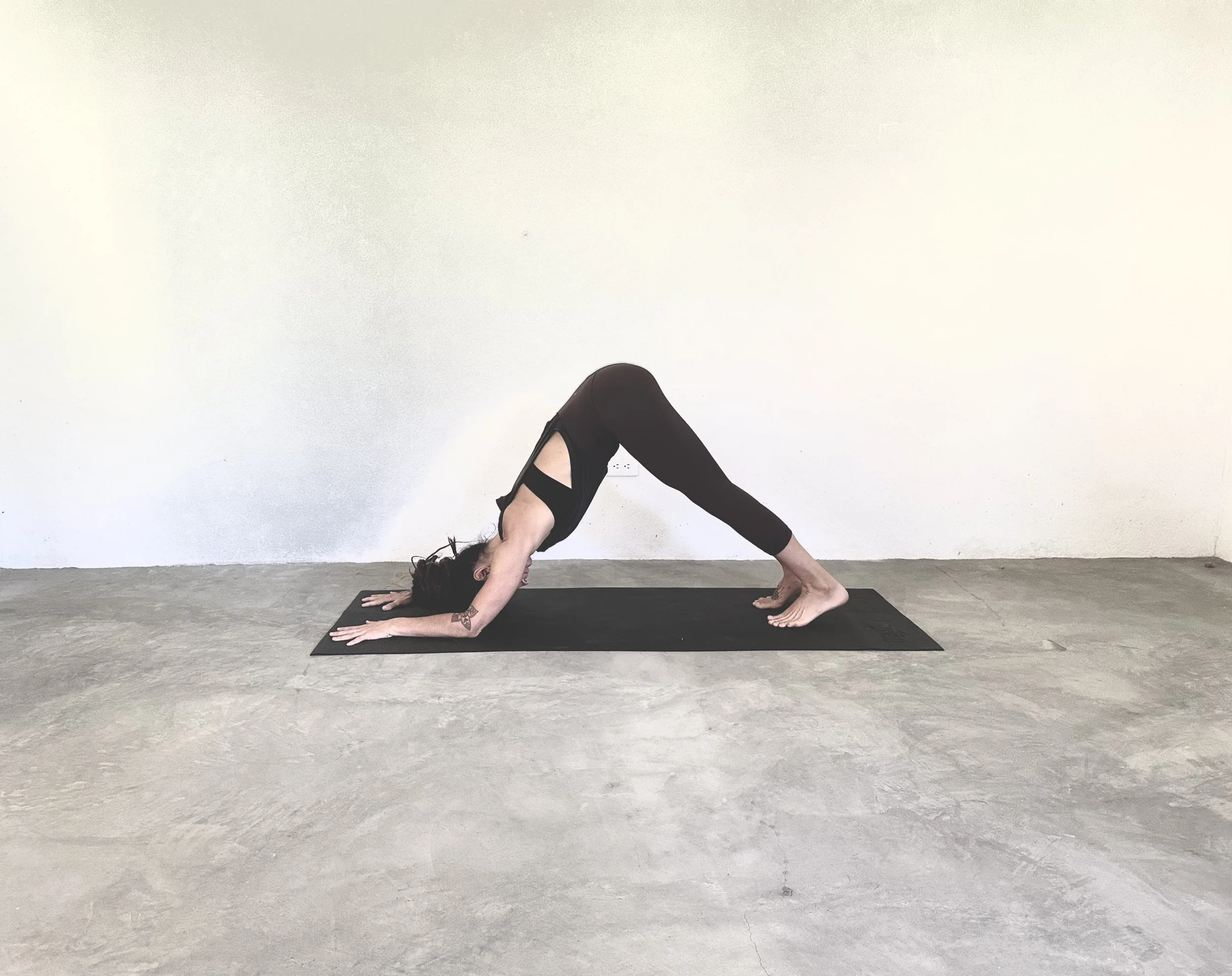 Yoga Asana: Dolphin Pose or Ardha Pincha Mayurasana
